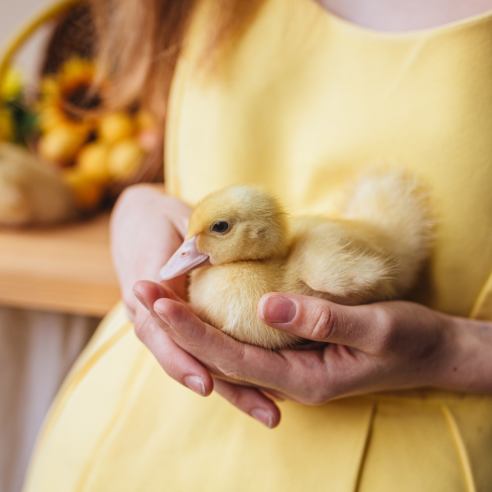 Анонсы. Семейный фотограф Анастасия Паршикова