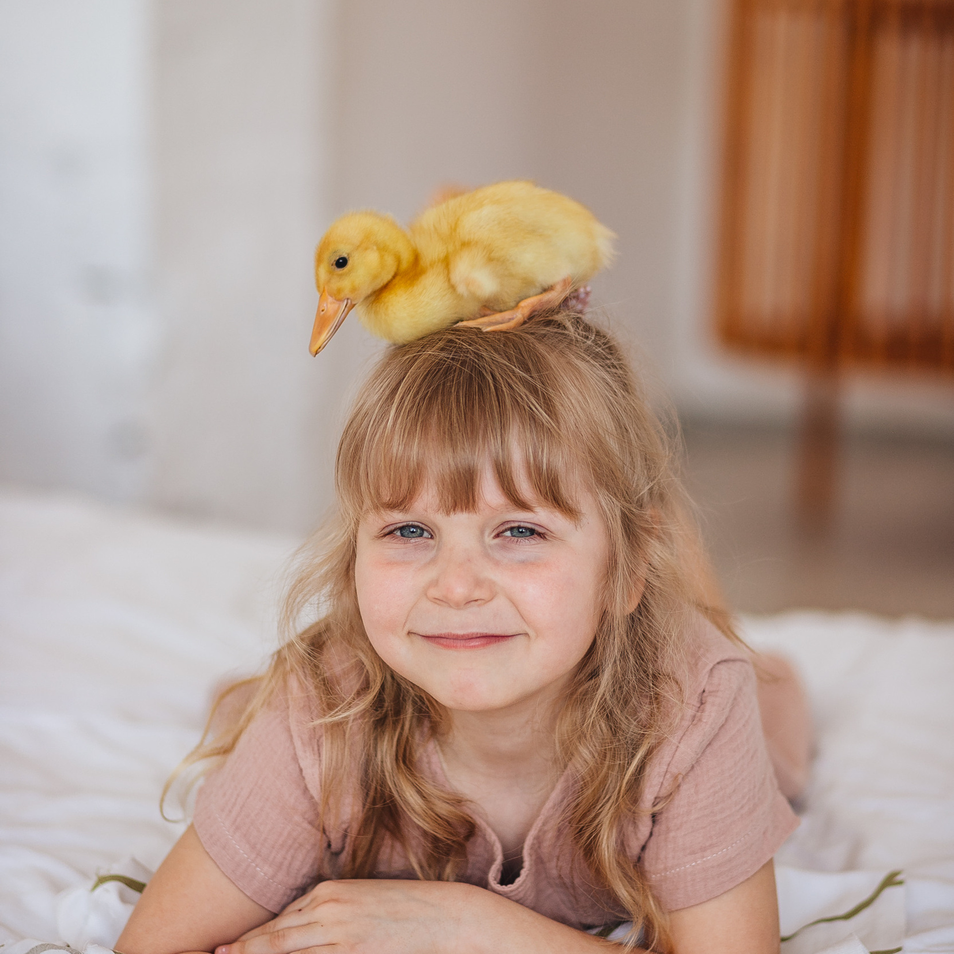 Анонсы. Семейный фотограф Анастасия Паршикова