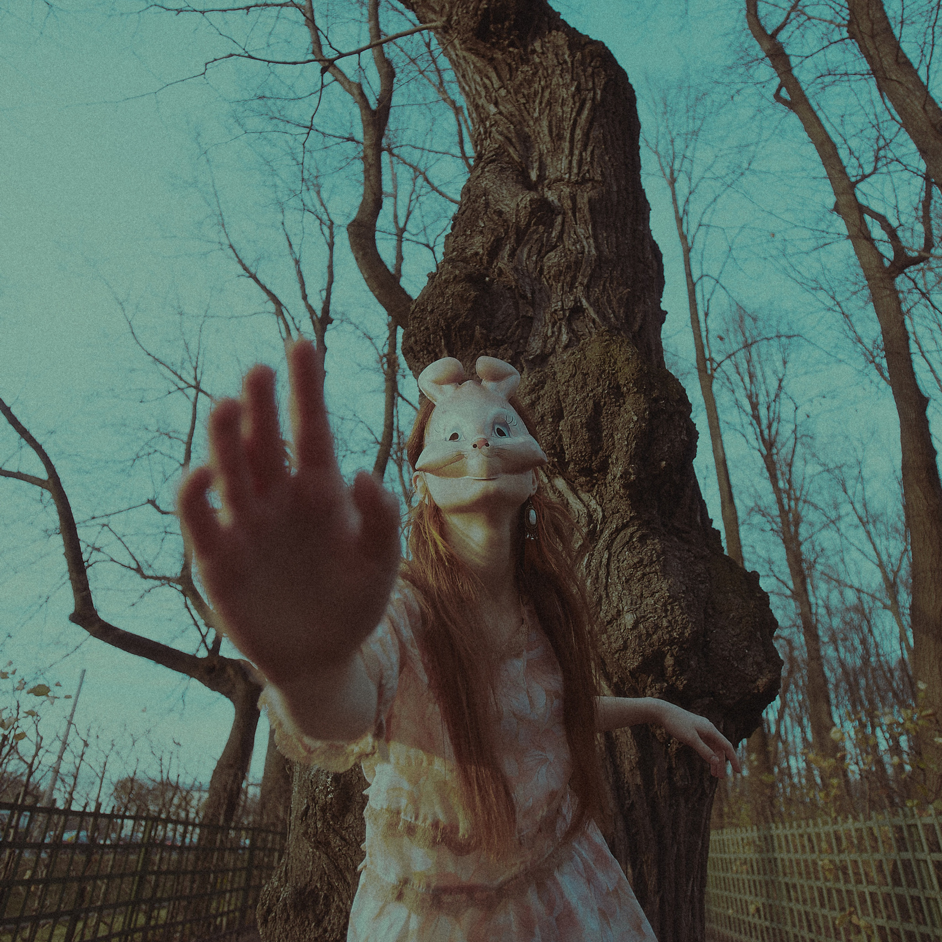 Rabbit in Summergarden