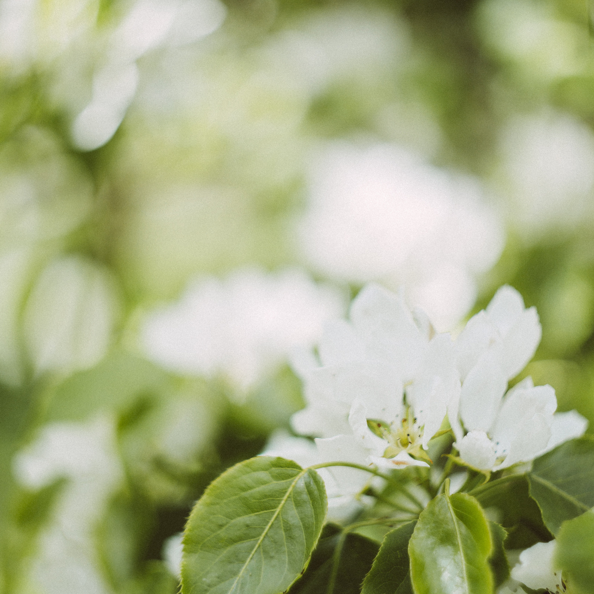 Детские и семейные