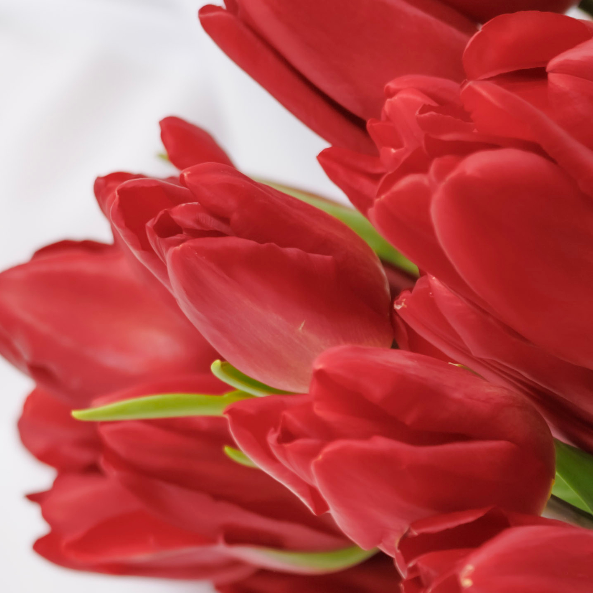 Отзывы. Фотограф Мариинск