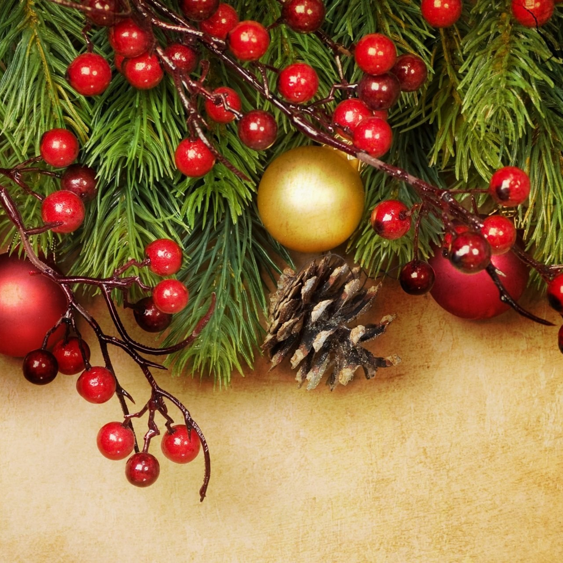 Отзывы. Горбунова Елена.Естественность и душа в фотографии. Фотограф Славгород