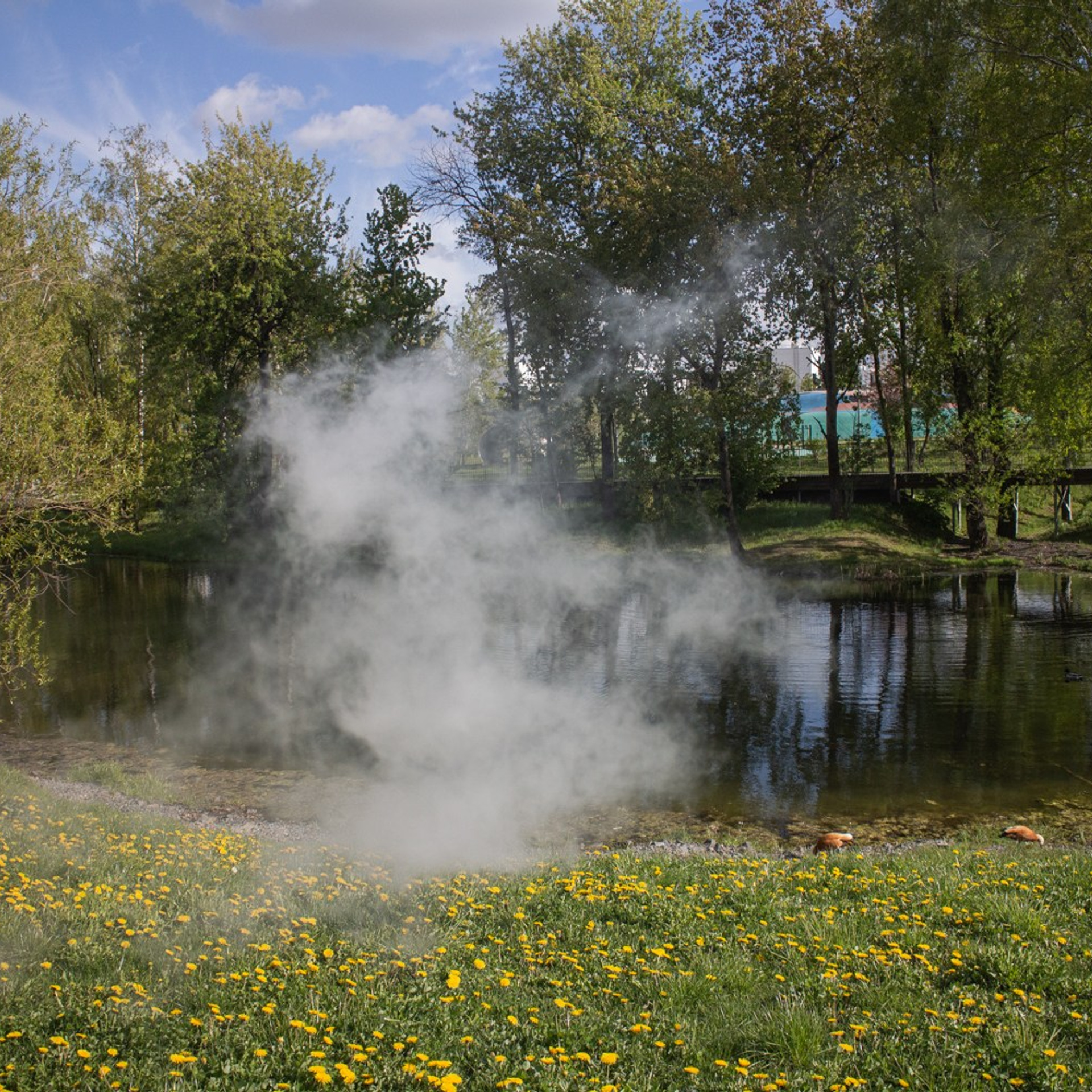 Наблюдение отсутствия