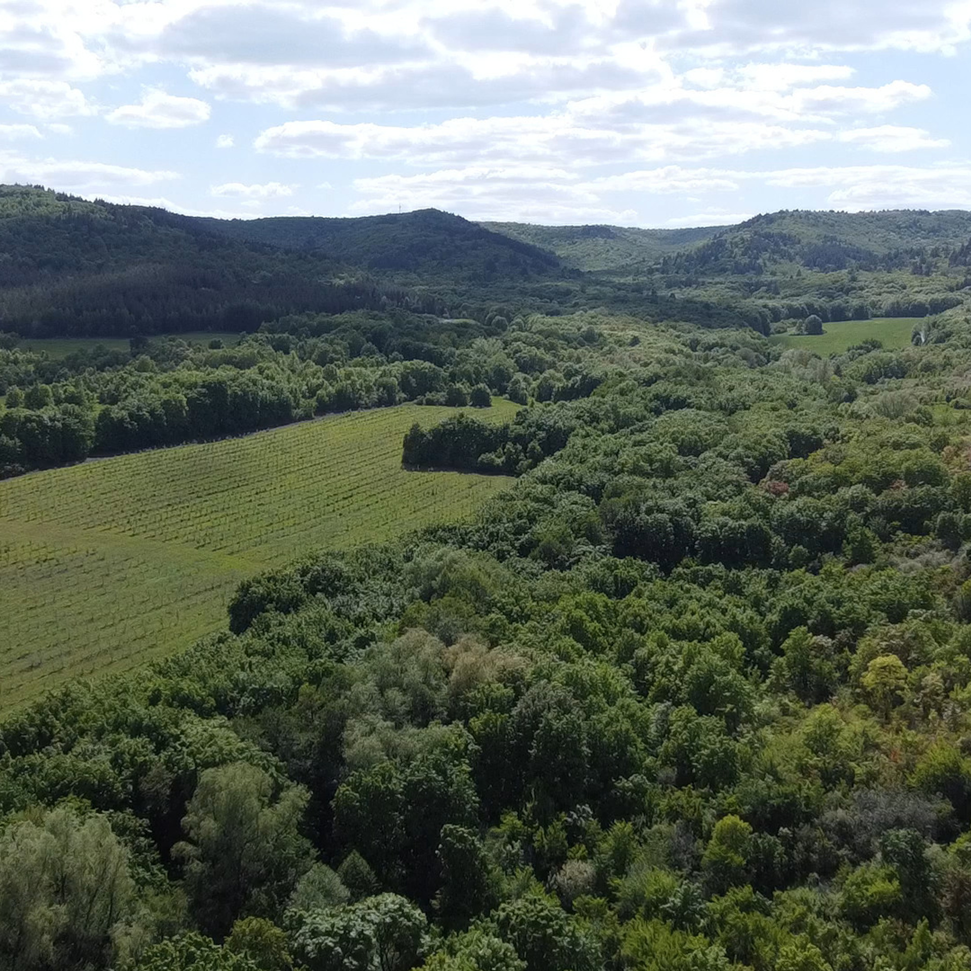 Отзывы. Артем Прошенков — фотограф и видеограф в Саратове