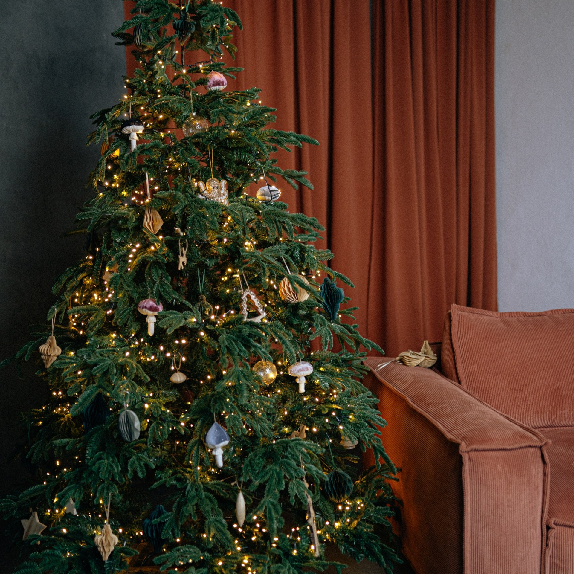 Новогодние локации 2026. Свадебный и семейный фотограф в Туле и области Маша Костина