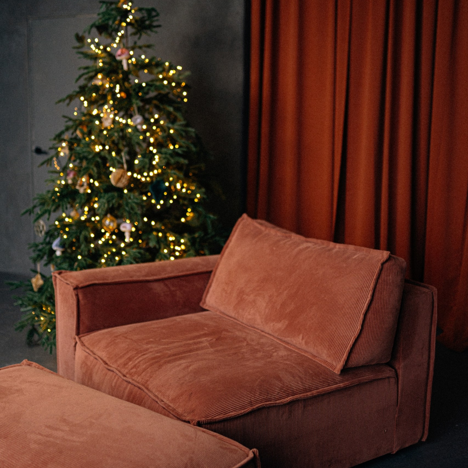 Новогодние локации 2026. Свадебный и семейный фотограф в Туле и области Маша Костина