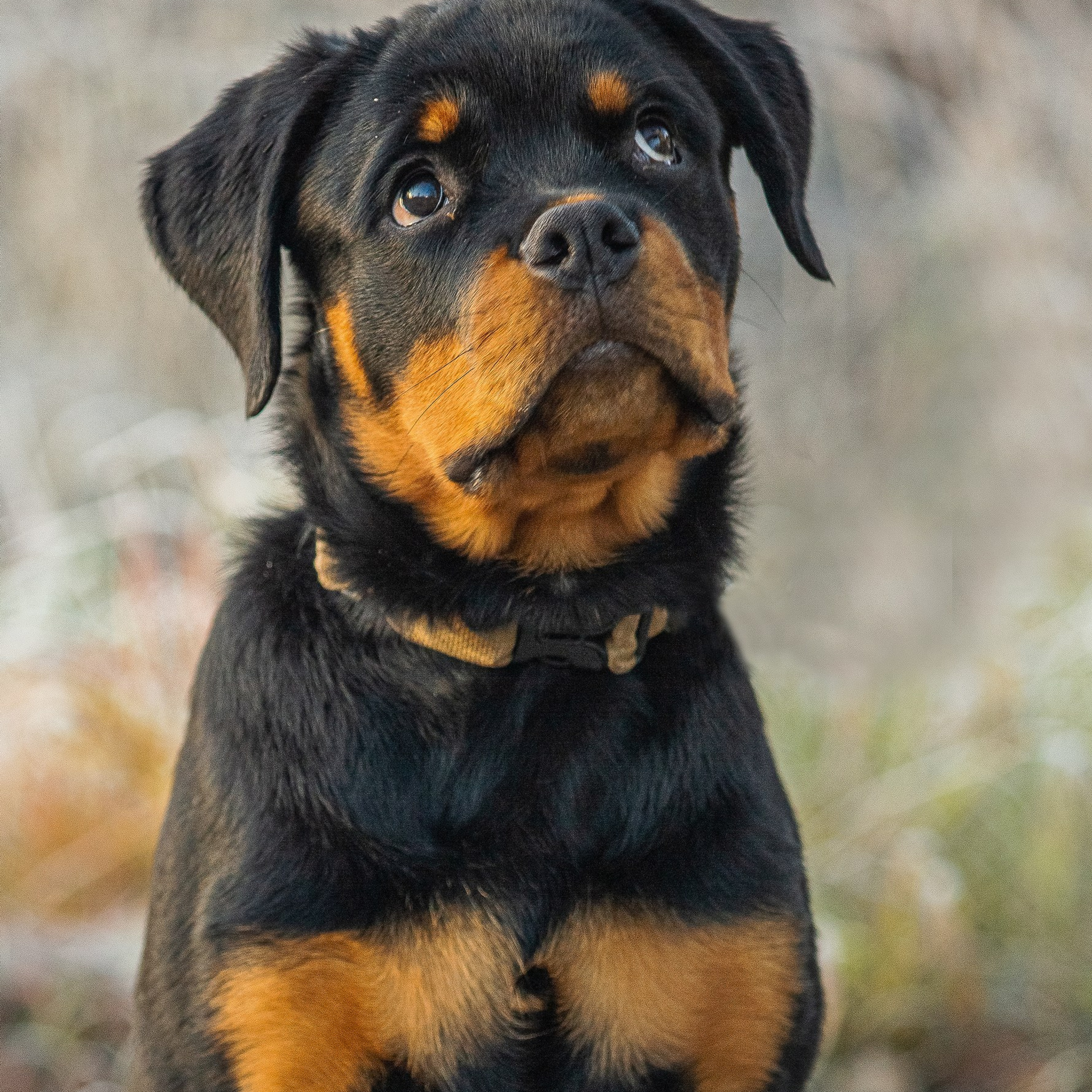 Отзывы. Авторские туры с профессиональным фотографом