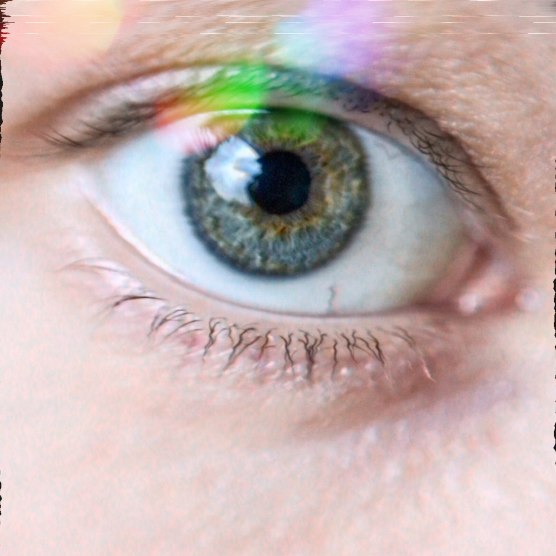 Отзывы. Фотограф и видеограф Иркутск, семейная фотосессия, фото для аватарки