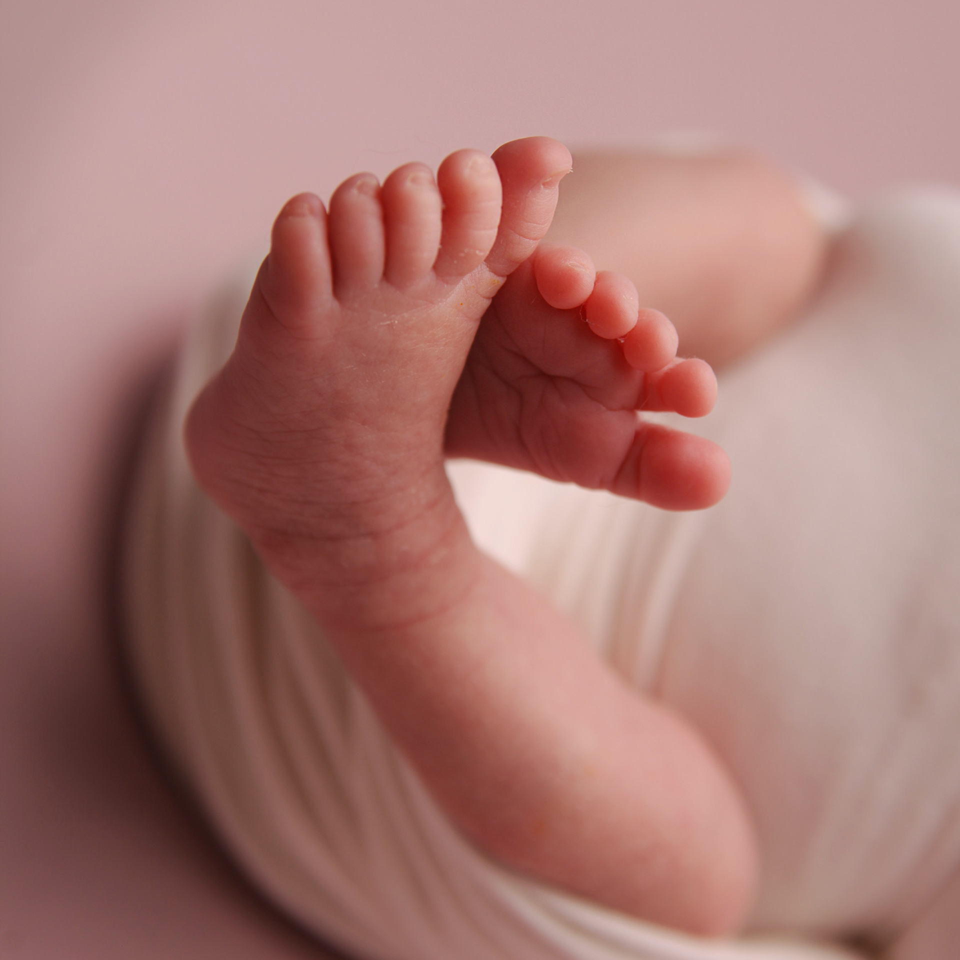 Отзывы о фотосессии новорожденных в СПб. Семейный фотограф в Санкт-Петербурге Бибаева Алла