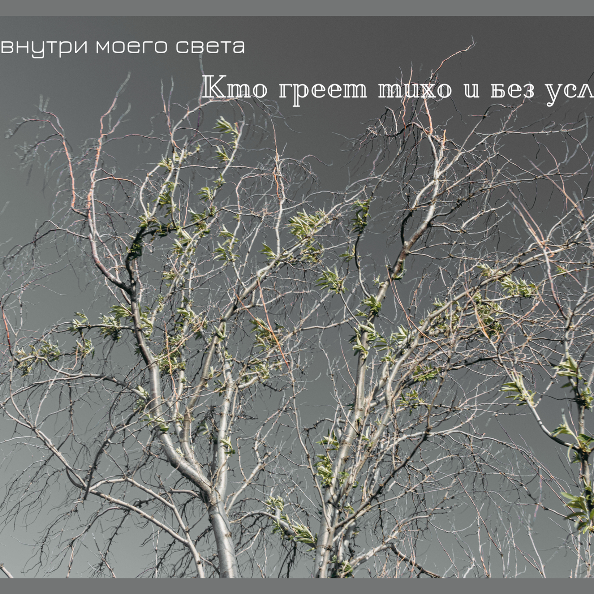 Свет внутри…