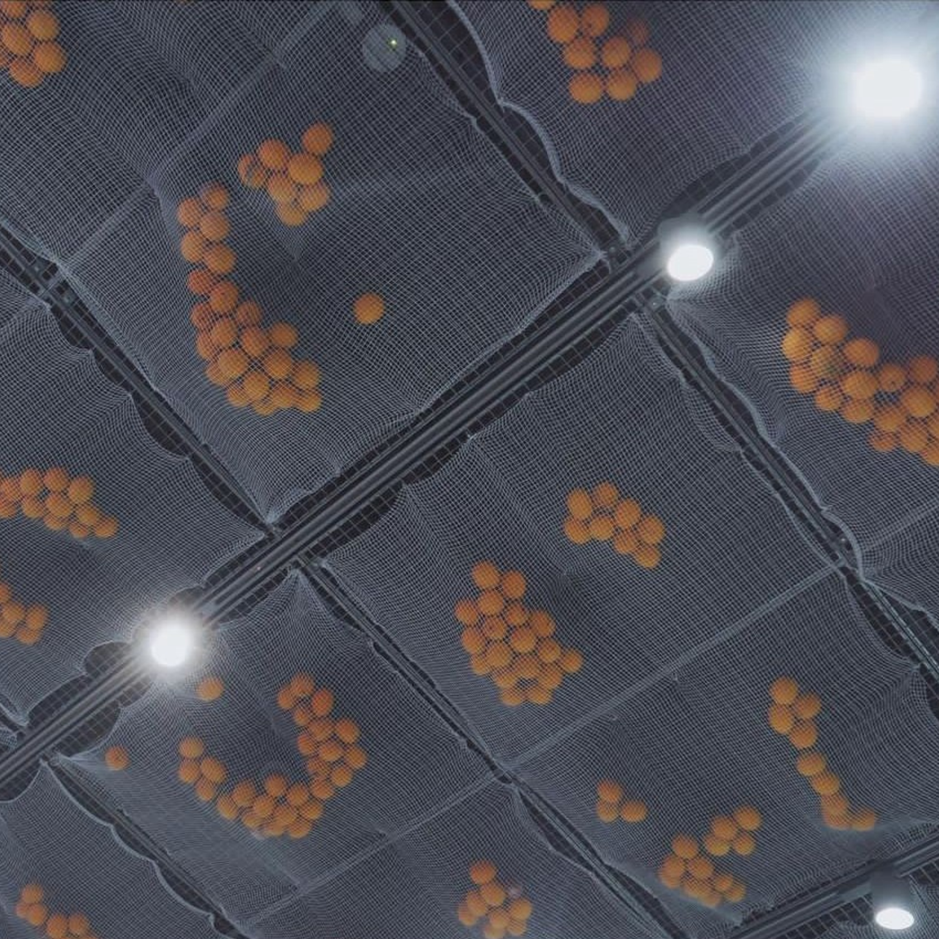 Yuliawave Lemon. Главная