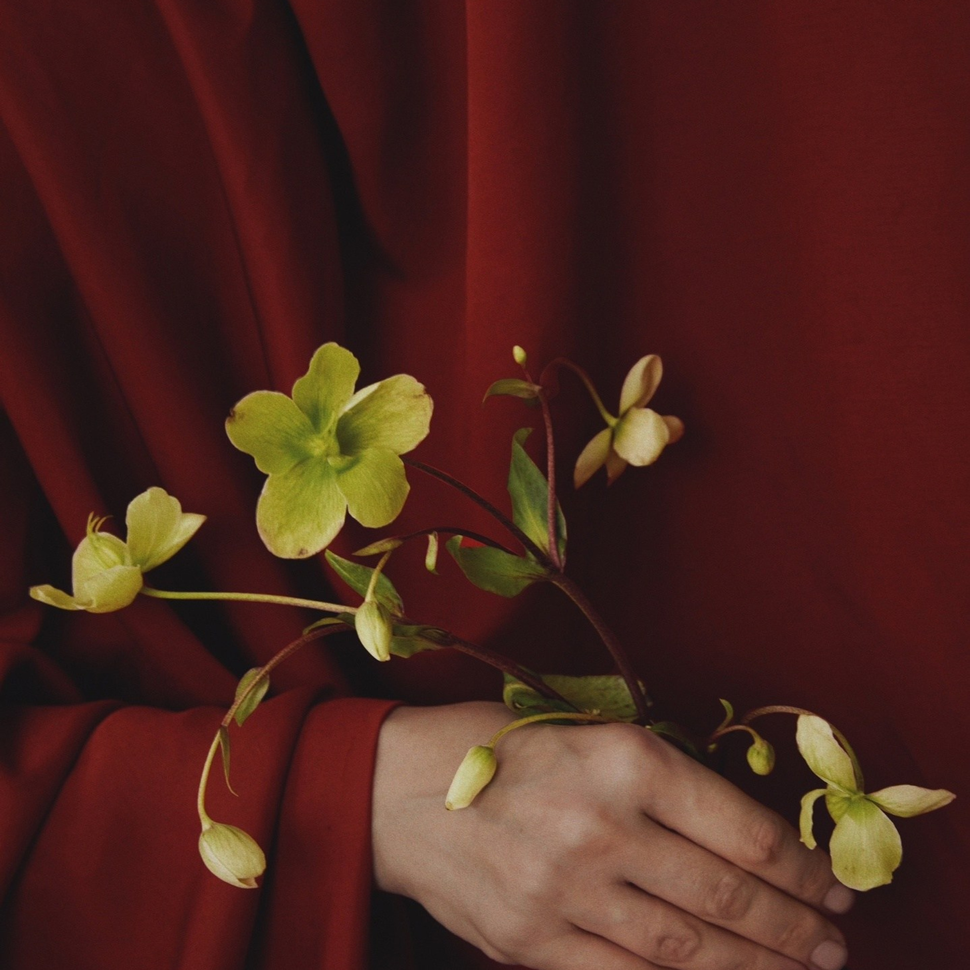 Мария Кеслер. Главная