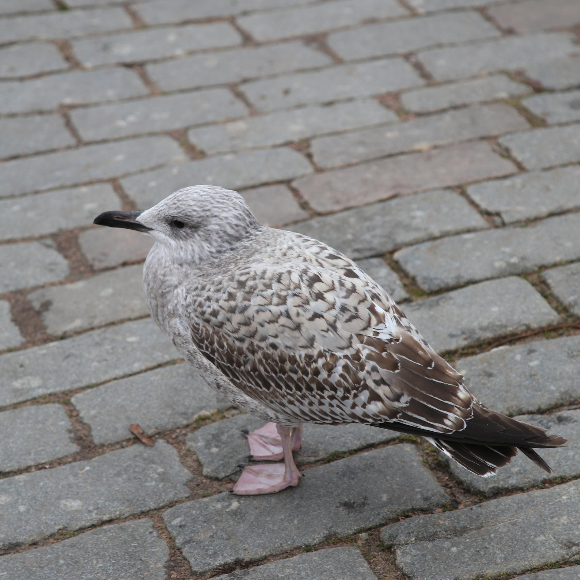 Отзывы. Фотограф Юля Постнова