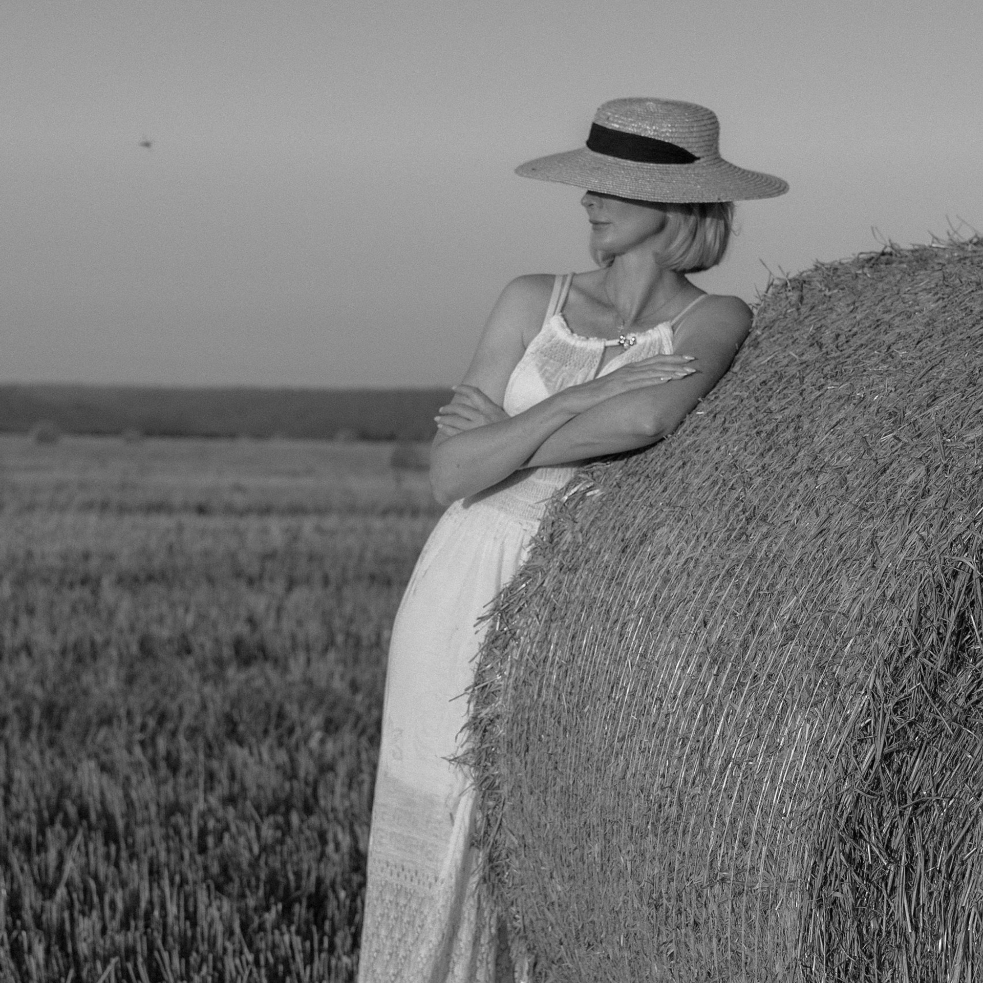 Фото в&nbsp;поле. Август&nbsp;24