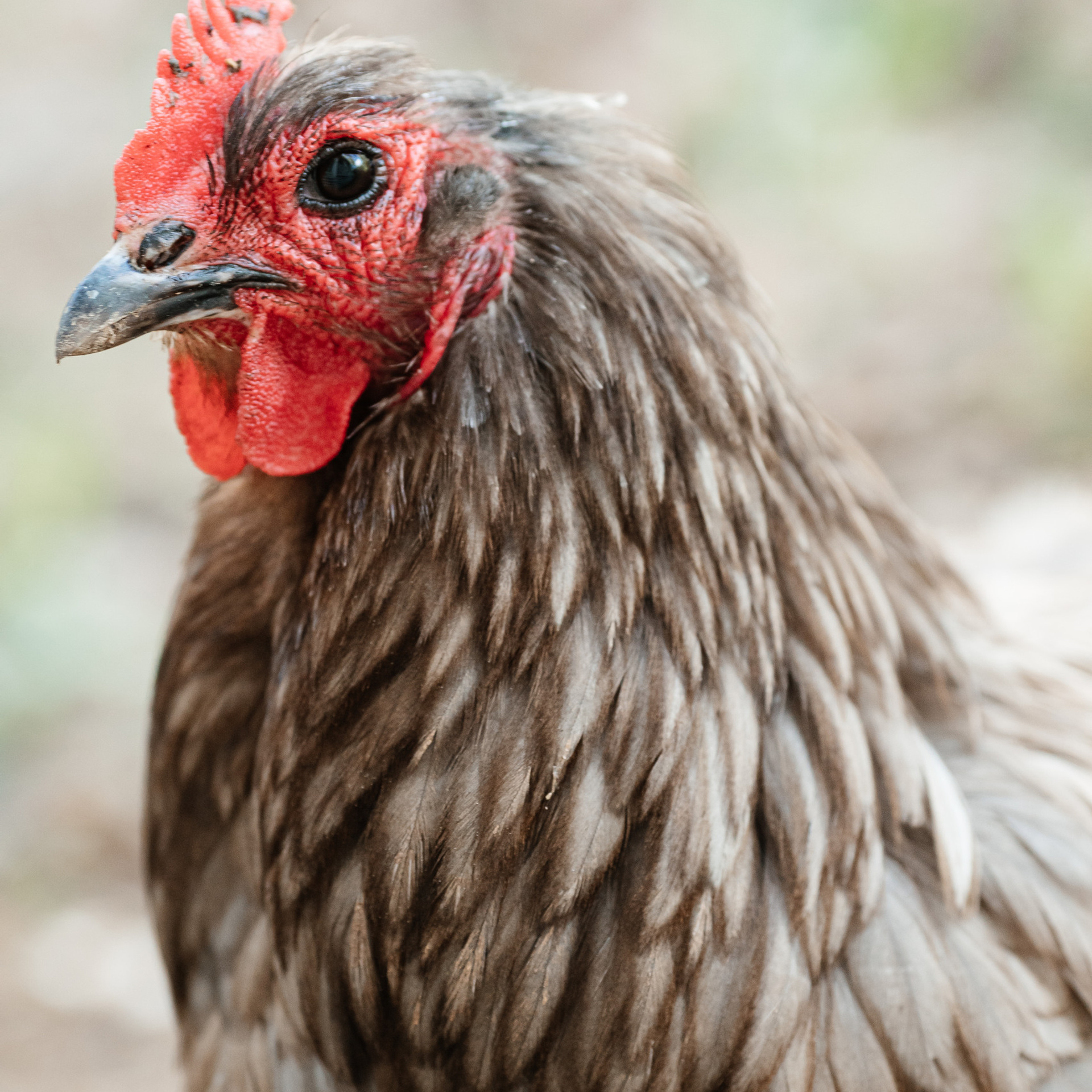 Отзывы. Анна Блохина Фотограф Звенигород Одинцово Истра Красногорск Москва