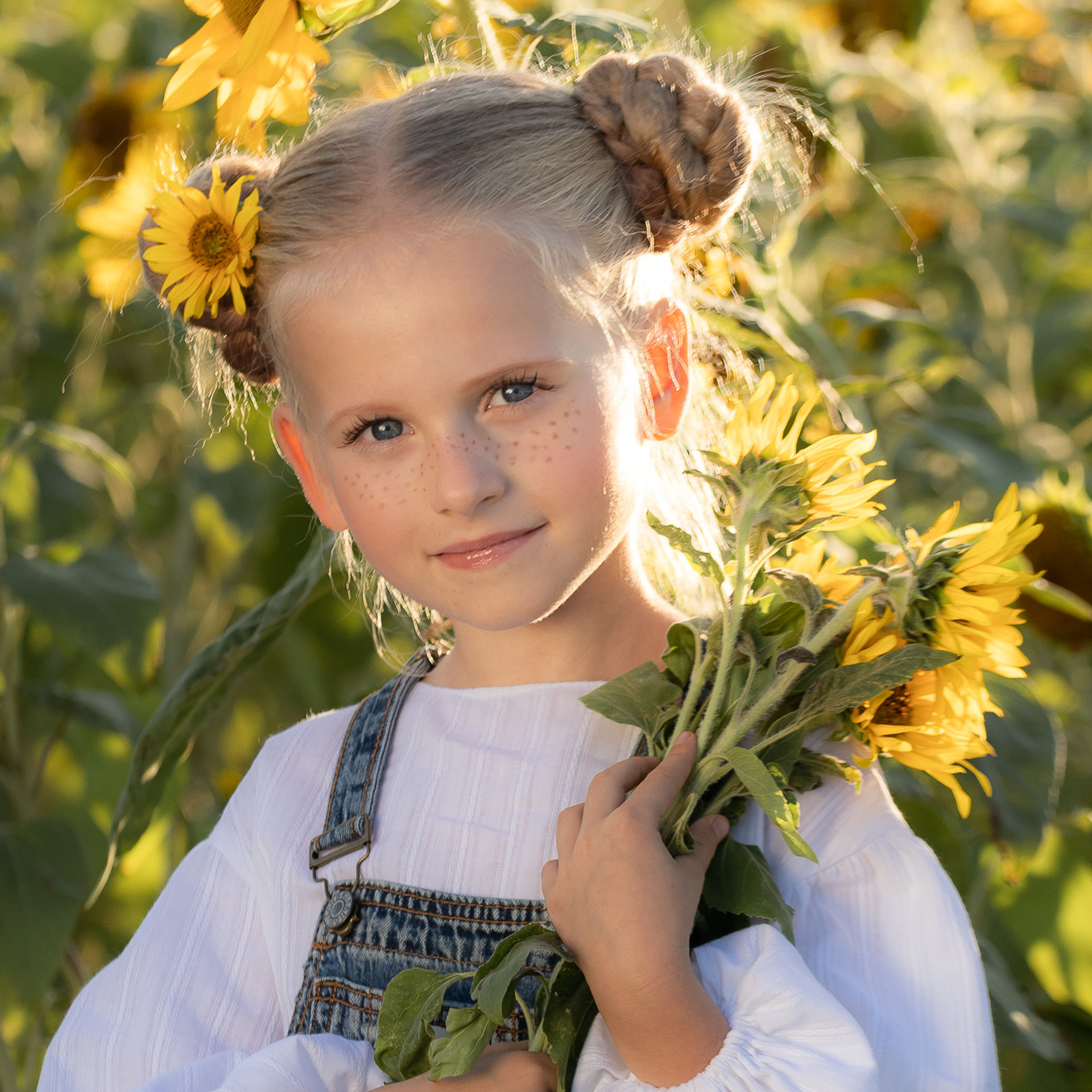 Подсолнухи