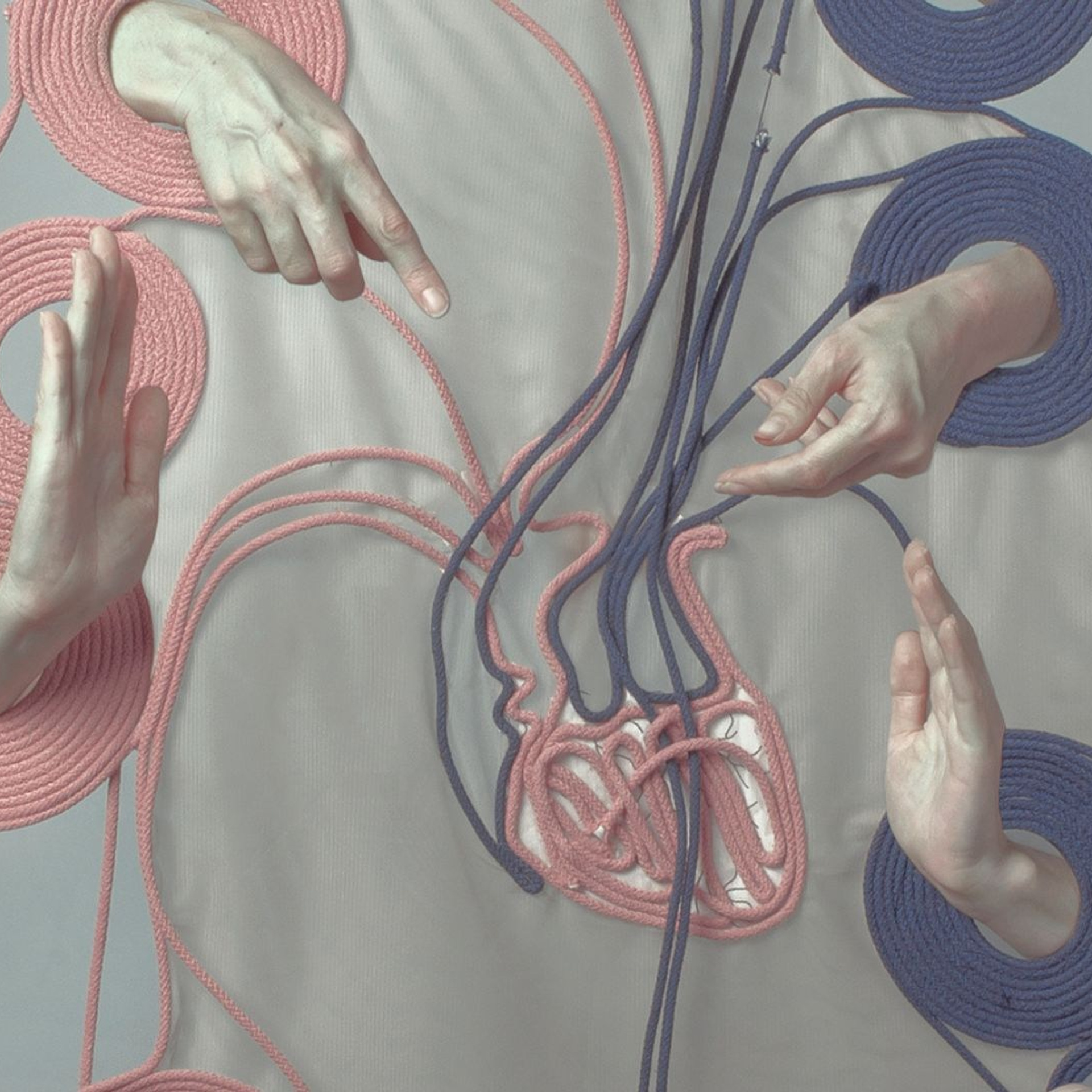 В поисках многих жизней…