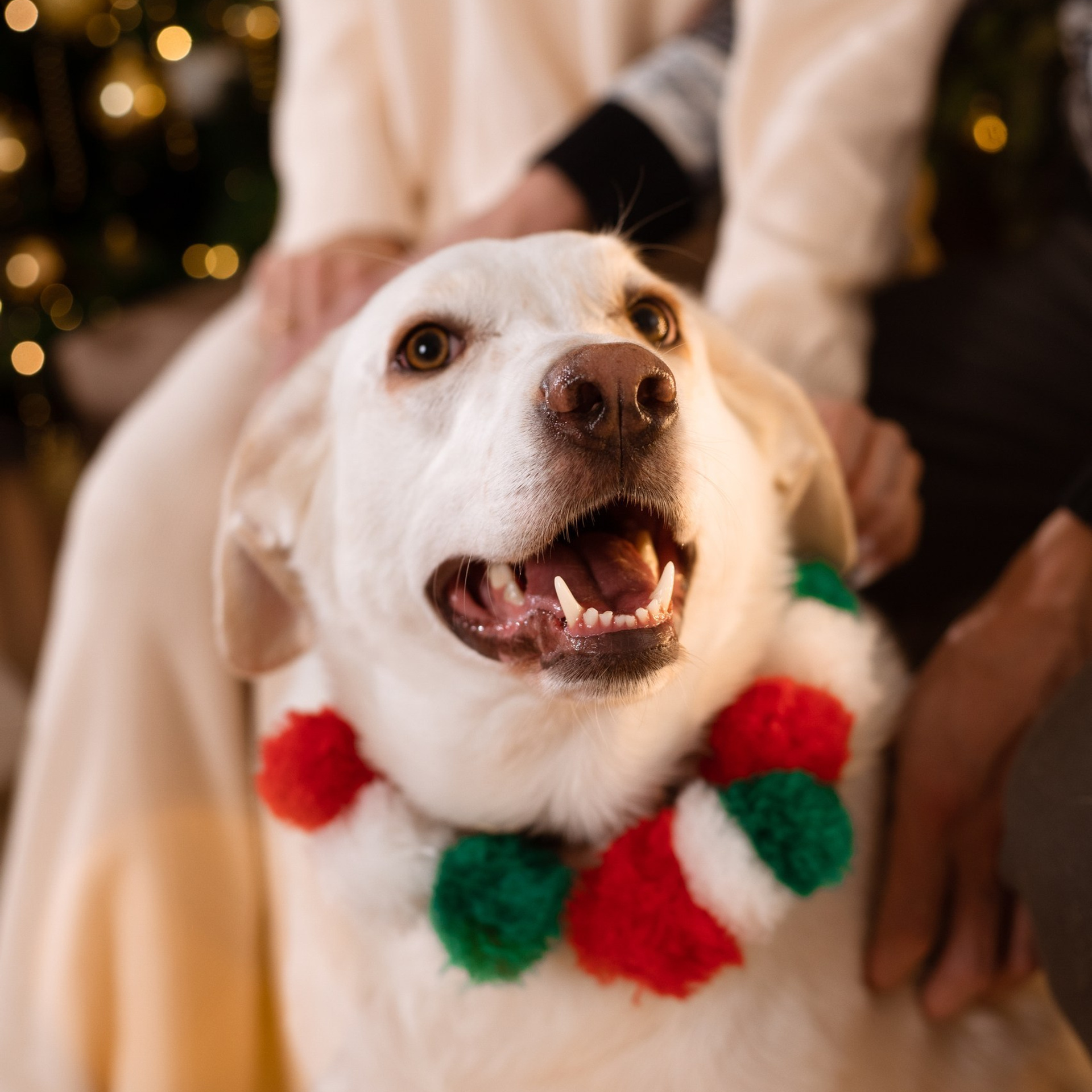 Отзывы на фотографа Валя Мердина. Атмосферная фотосъёмка в Омске!