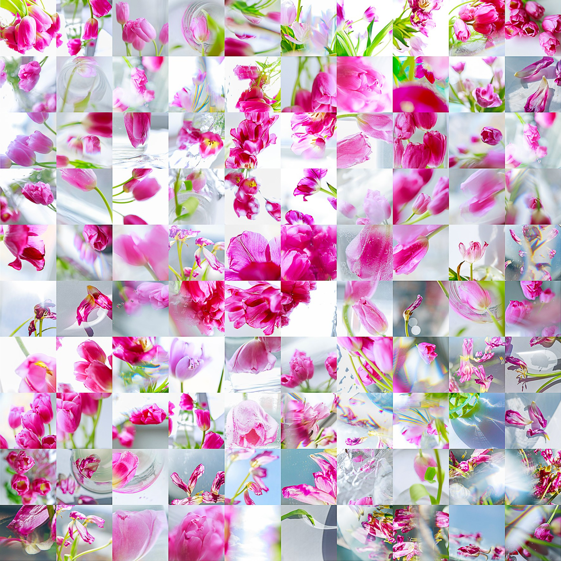 100 ОТТЕНКОВ РОЗОВОГО СВЕТА