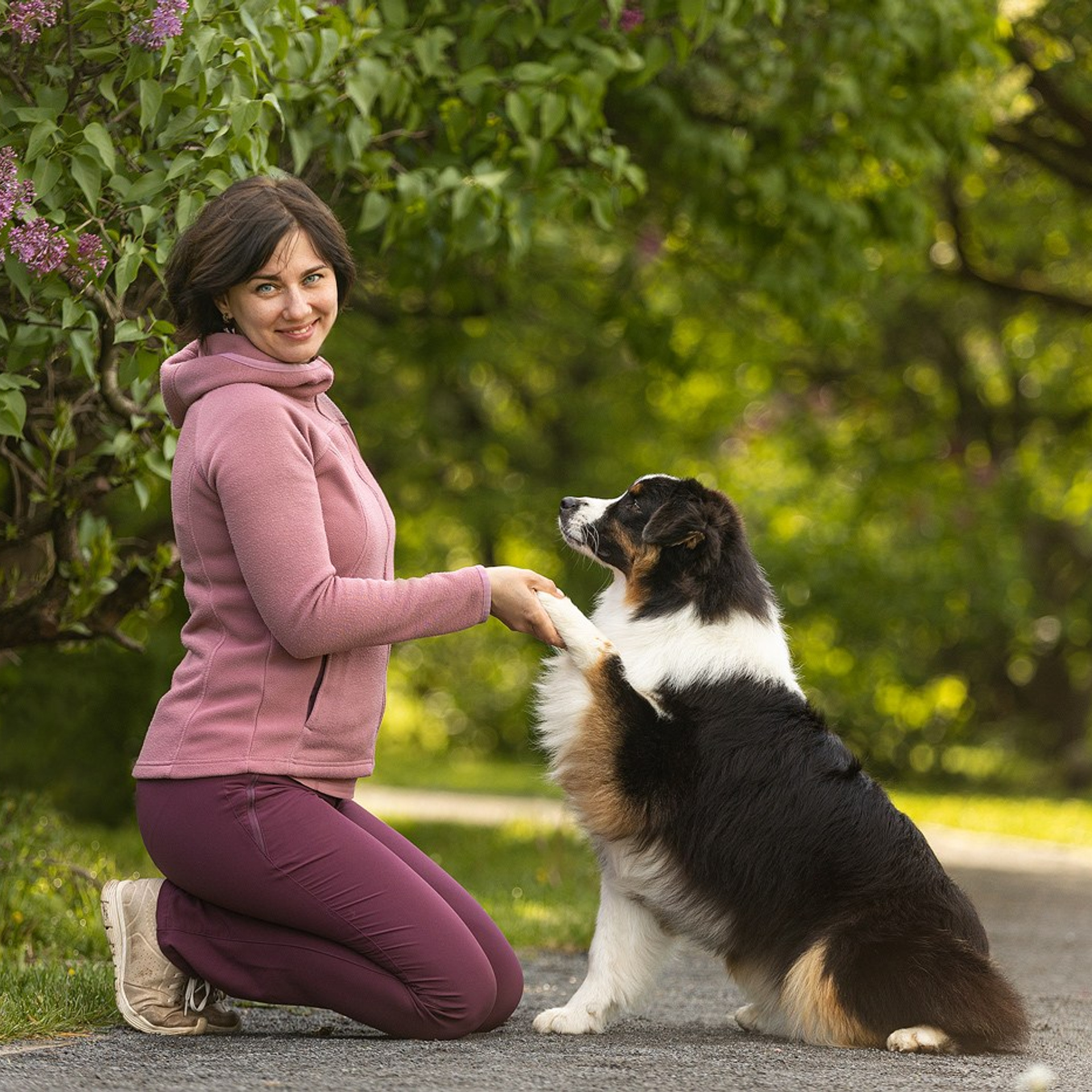 Отзывы. Фотограф-анималист Natalia Deingel | Фотосъемка собак в Москве