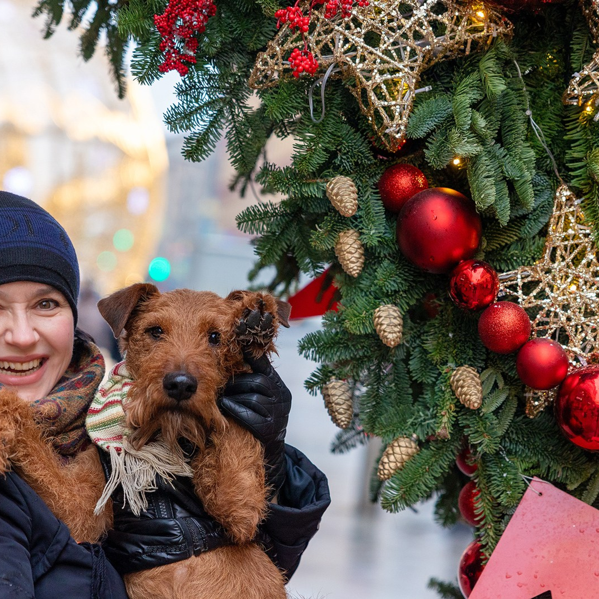 Отзывы. Фотограф-анималист Natalia Deingel | Фотосъемка собак в Москве