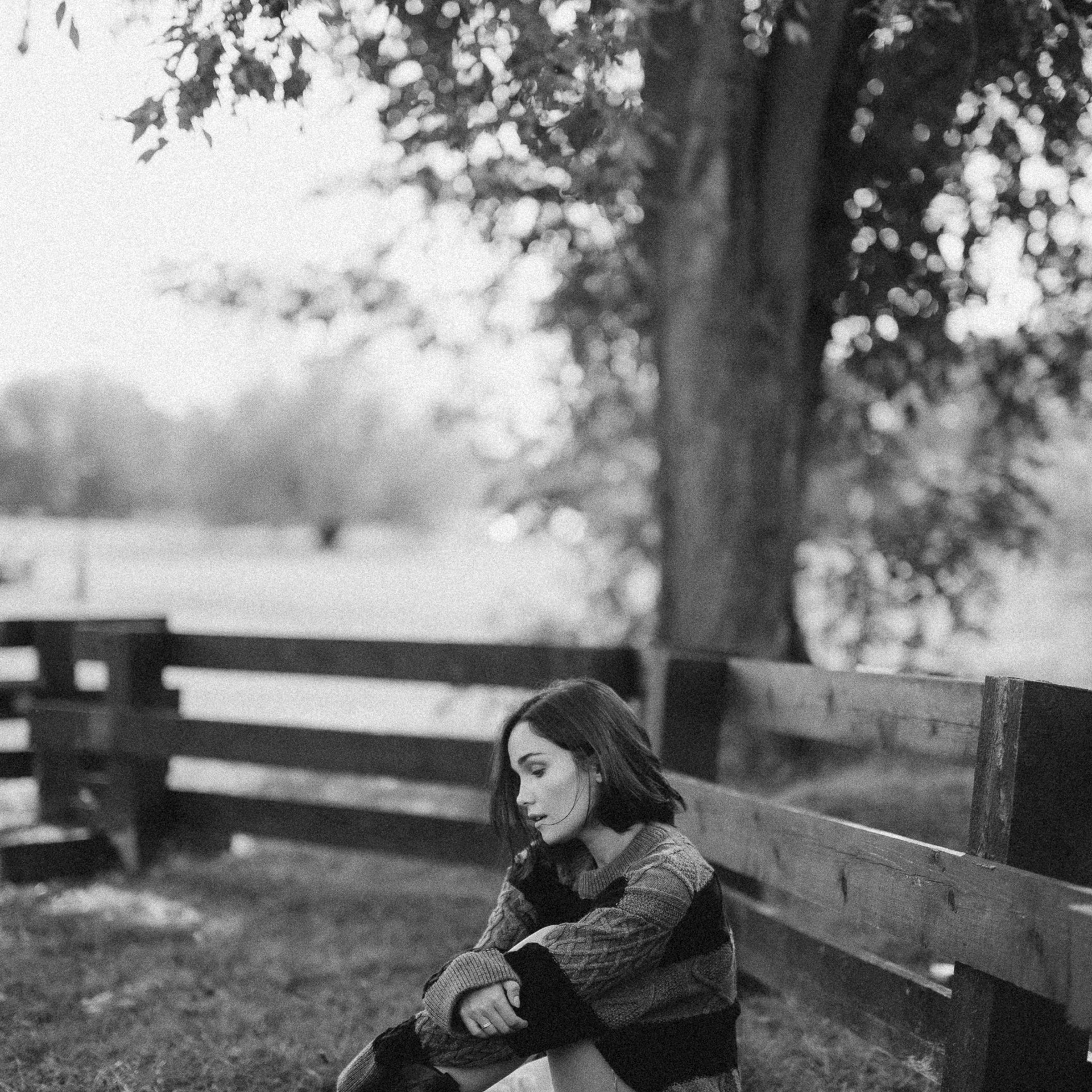 Полная серия с осенней съёмки в парке Коломенское в черно-белом варианте