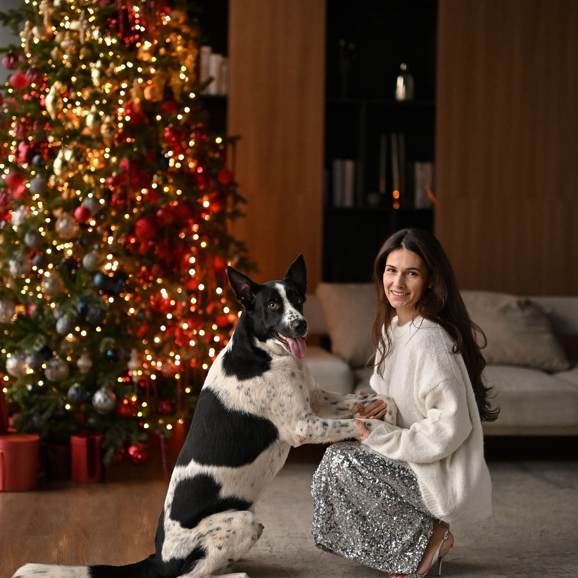 Новогодняя фотосессия с собакой в студии Мимика, зал Наоми. Марианна и Куруш