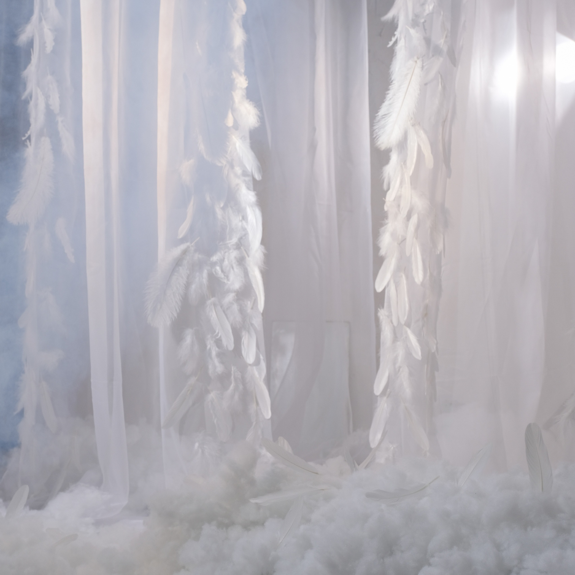 Контраст (бежица)