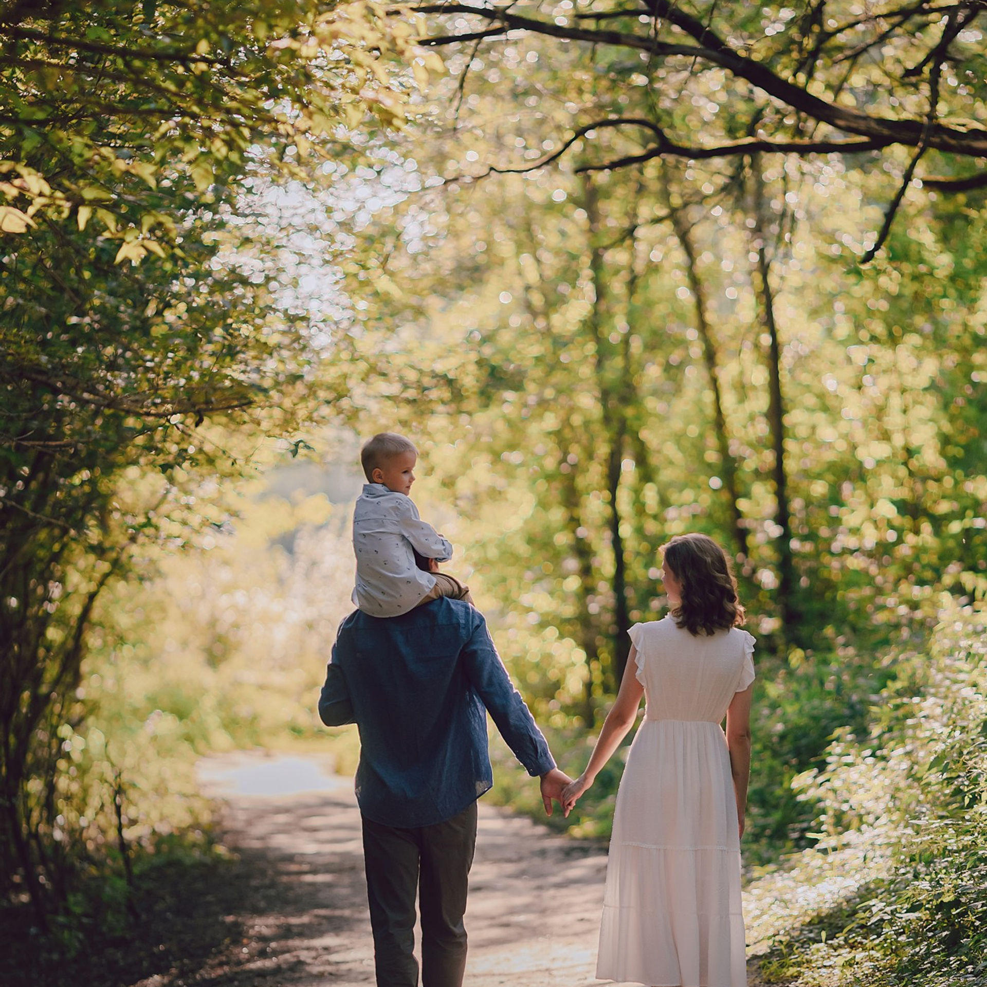 Красота природы (сборная)