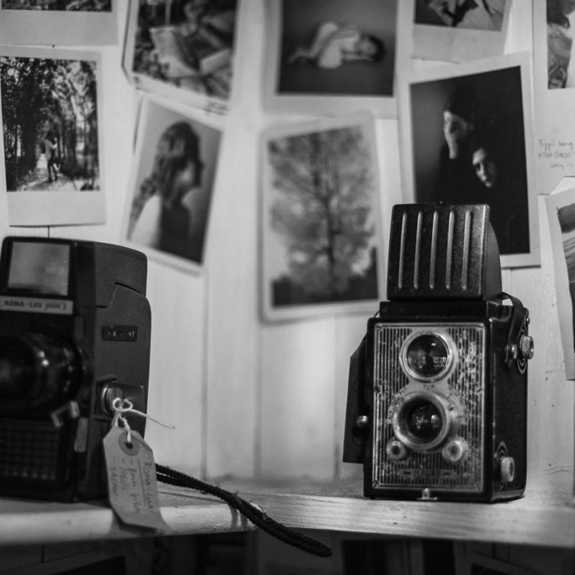 Новости фотографа туринск Анастасии Щегловой. Фотограф в городе Туринск Анастасия Щеглова