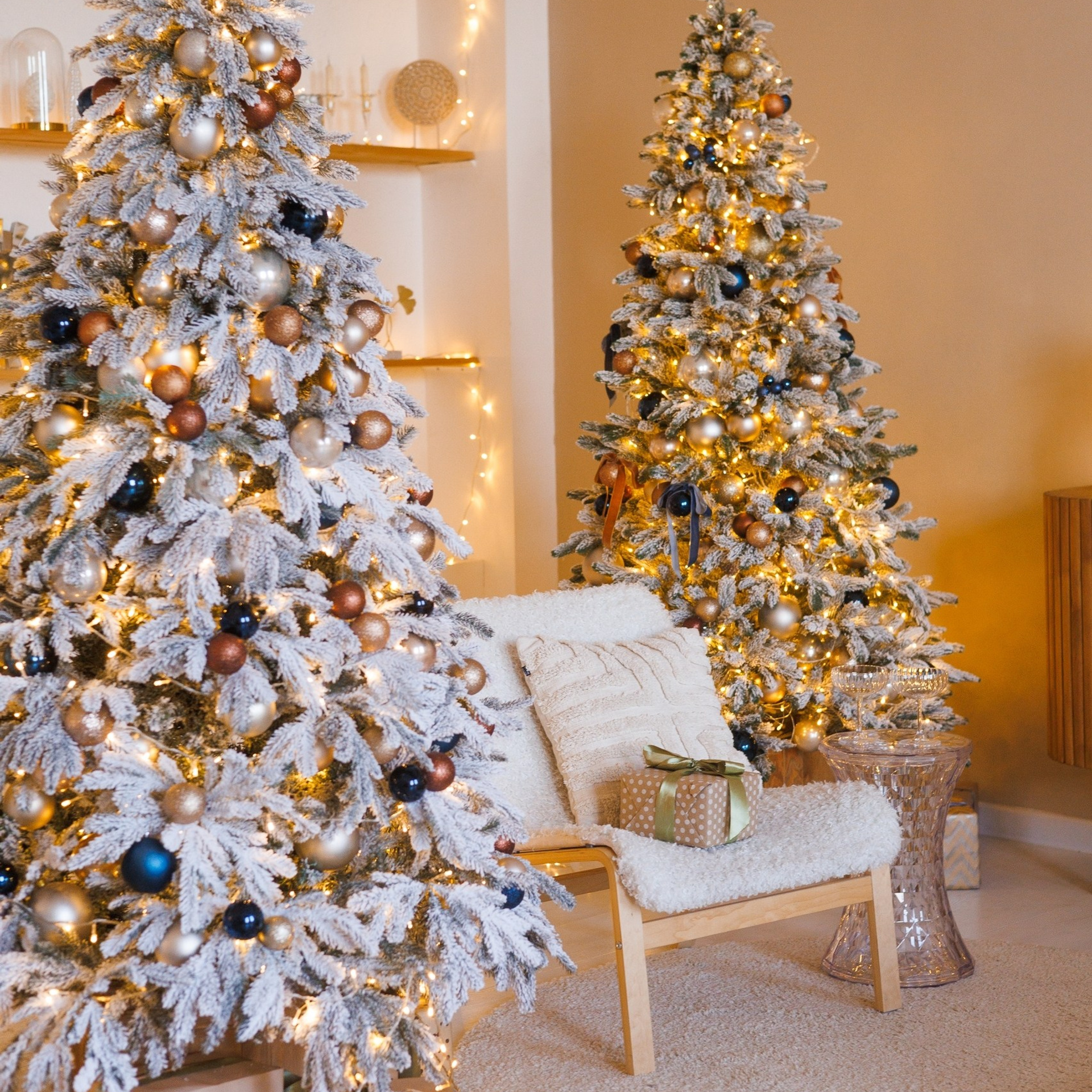 Новый год. Каплицкая Любовь — фотограф Тверь