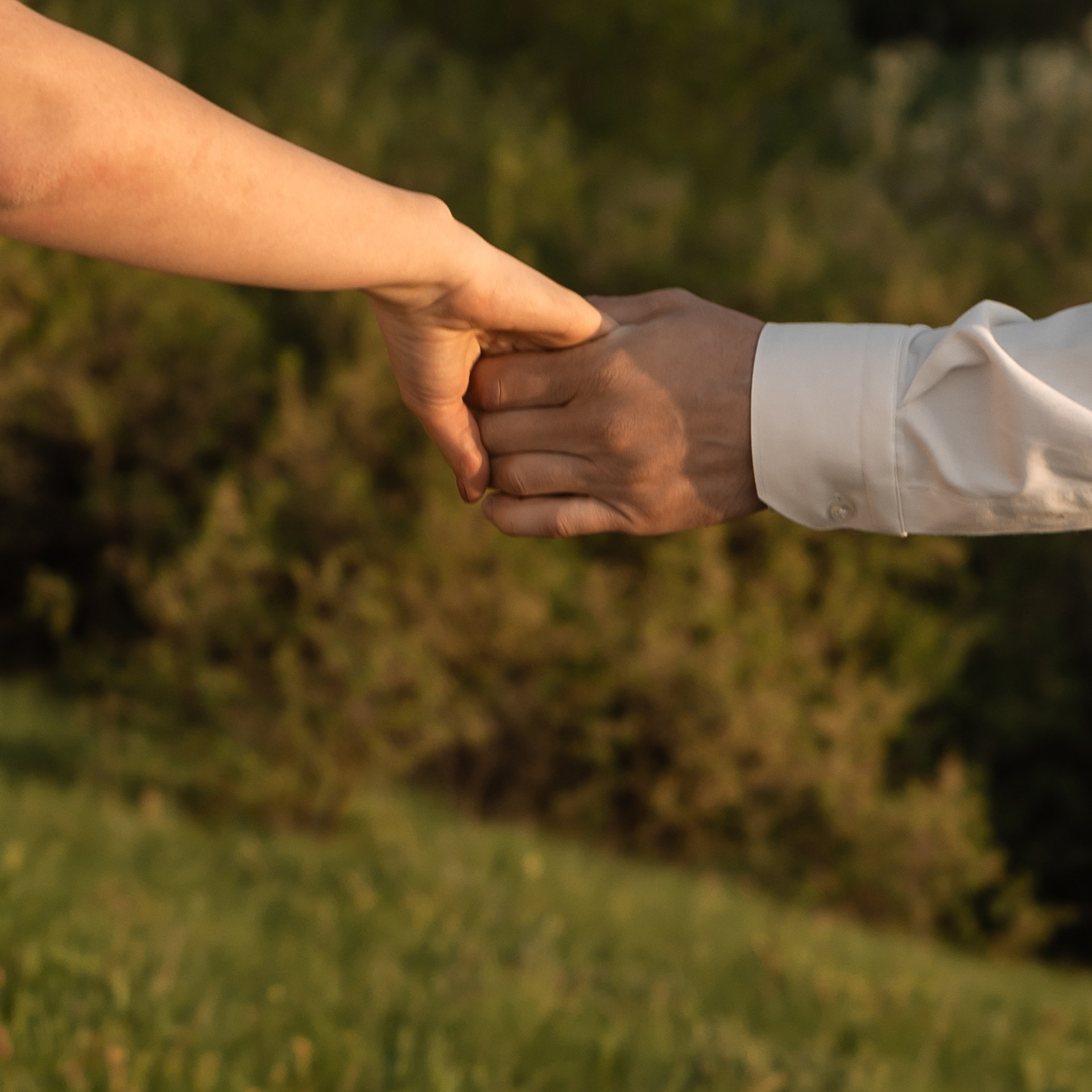 Татьяна и Роман. Свадебный фотограф Ростов-на-Дону Сочи