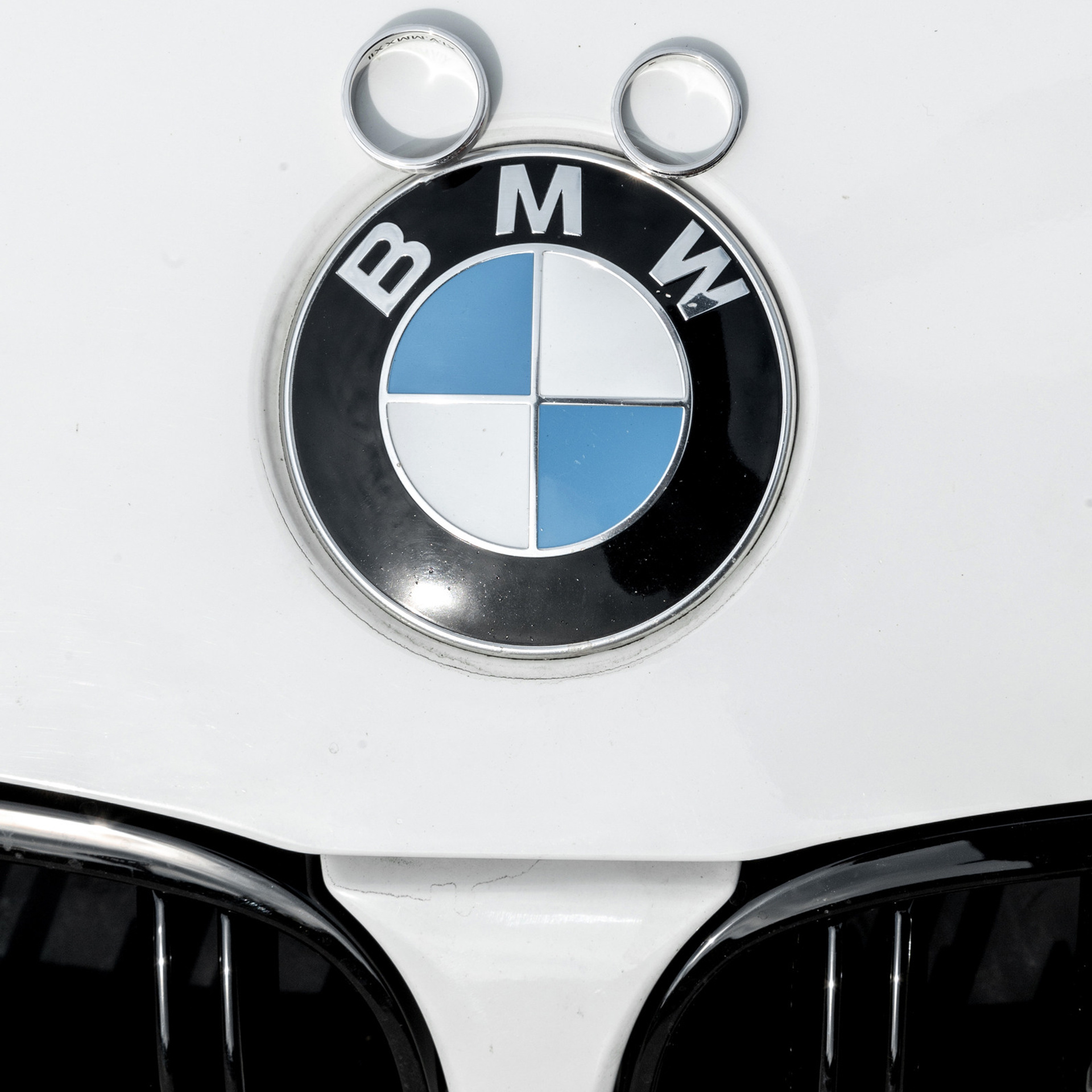 Элеонора и Максим. Свадебный фотограф Ростов-на-Дону Сочи