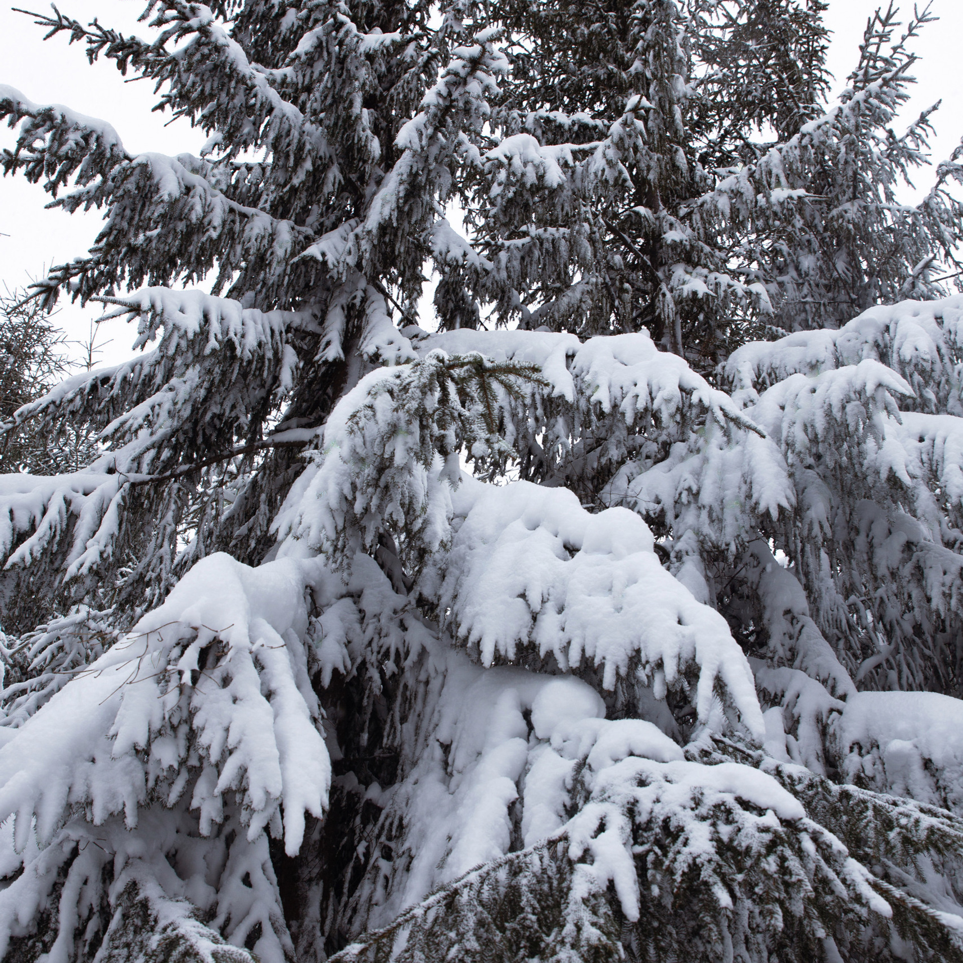 Отзывы о фотографе в Петропавловске-Камчатском. Фотограф Камчатка