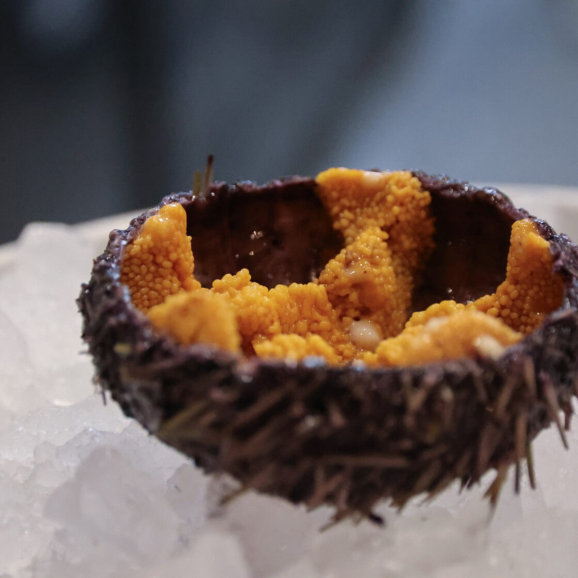 Фуд-фото. Главная