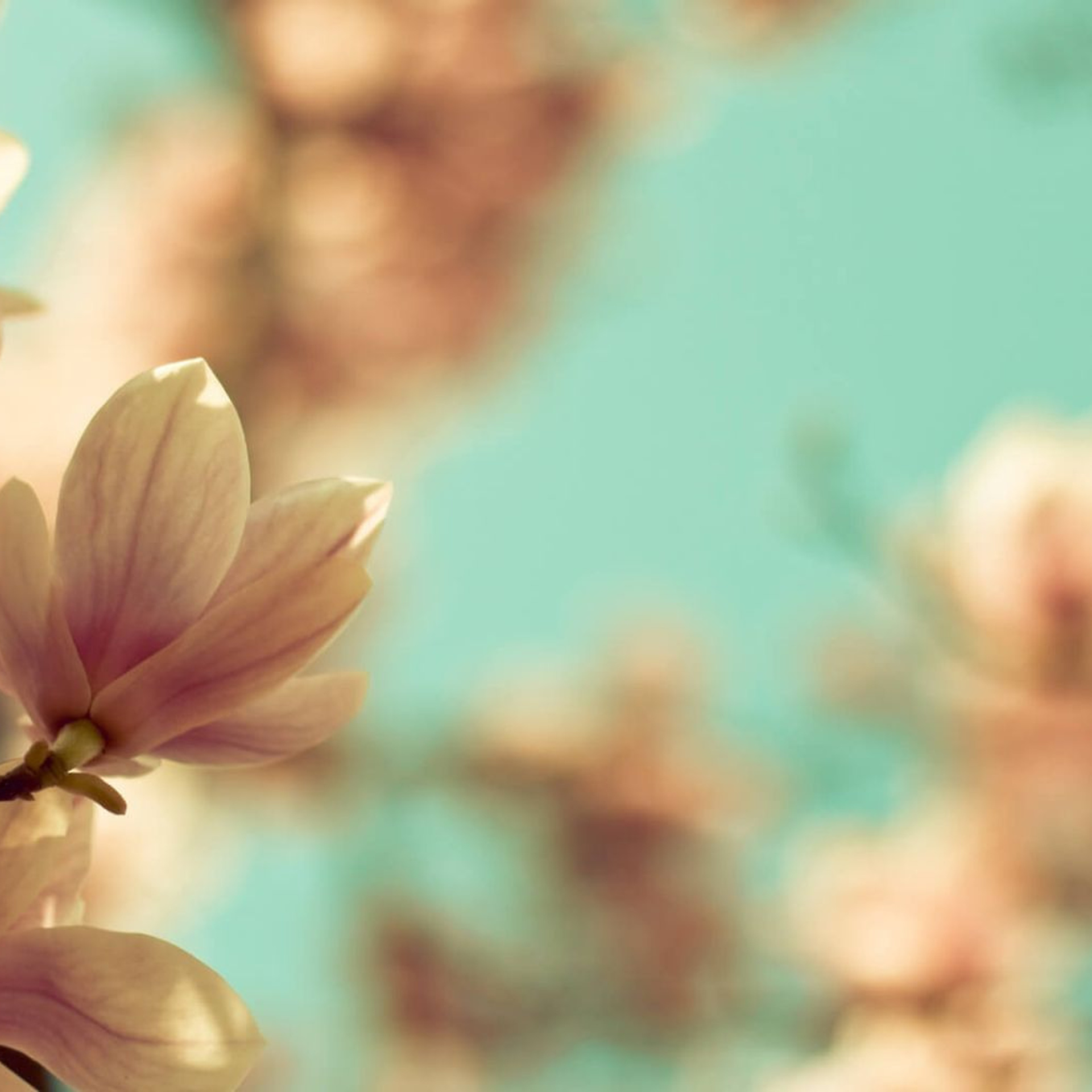 Отзывы. Свадебный фотограф Москва и Московская область