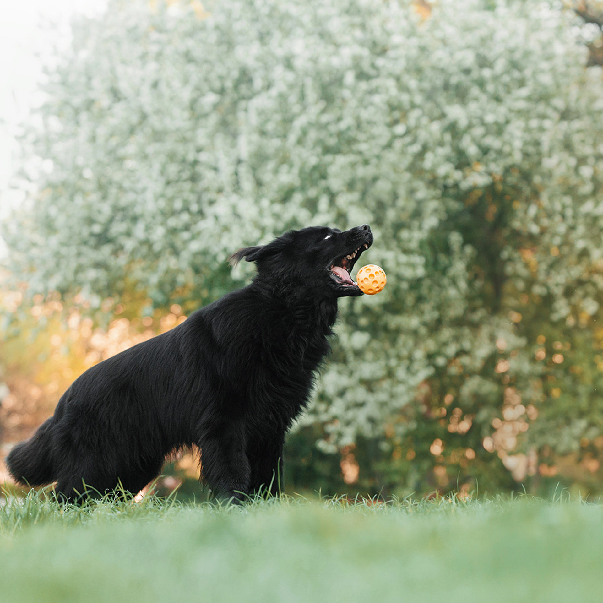 Виктория и Дейл. Фотограф Анна Тюрина
