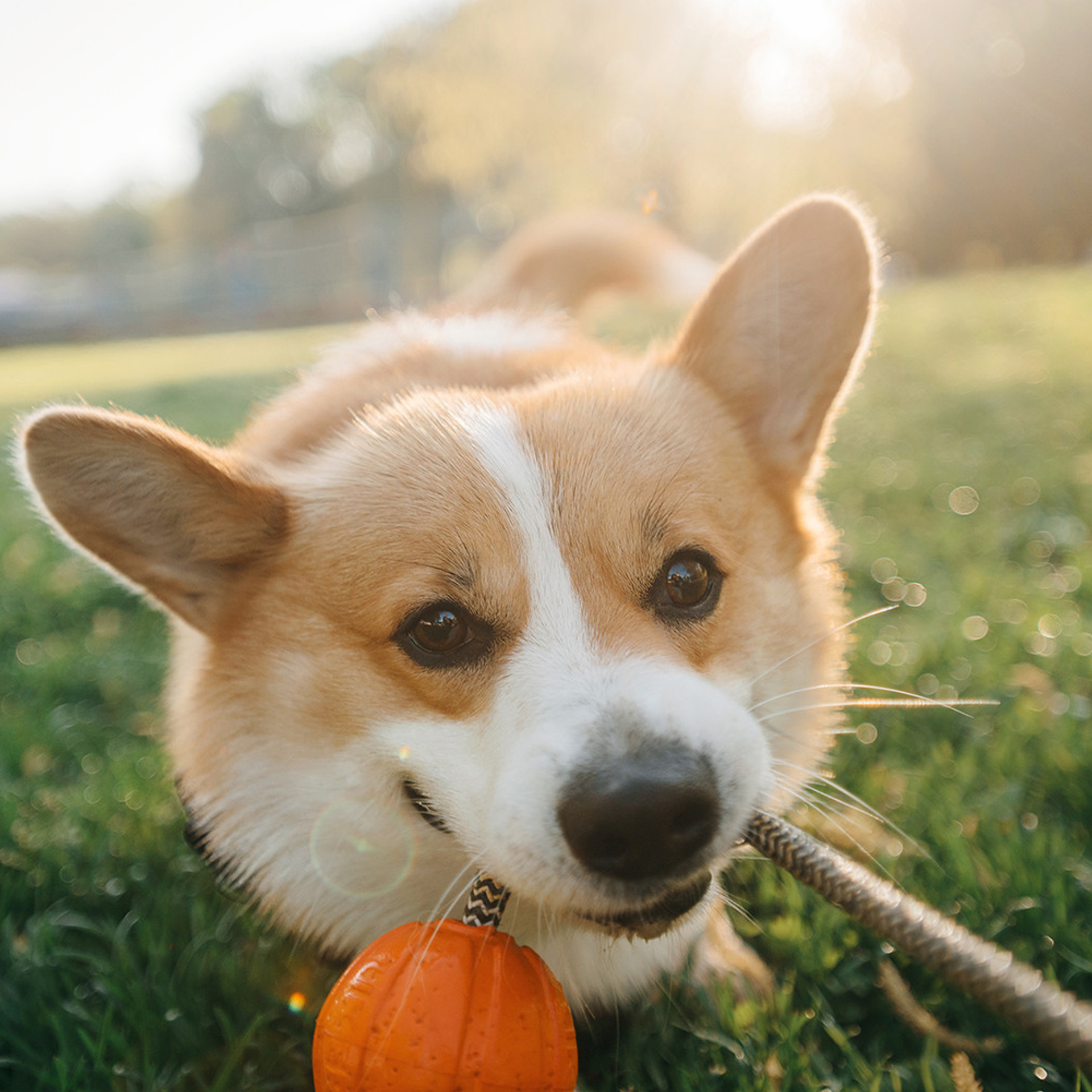 Тим, Ира и Тимур. Фотограф Анна Тюрина