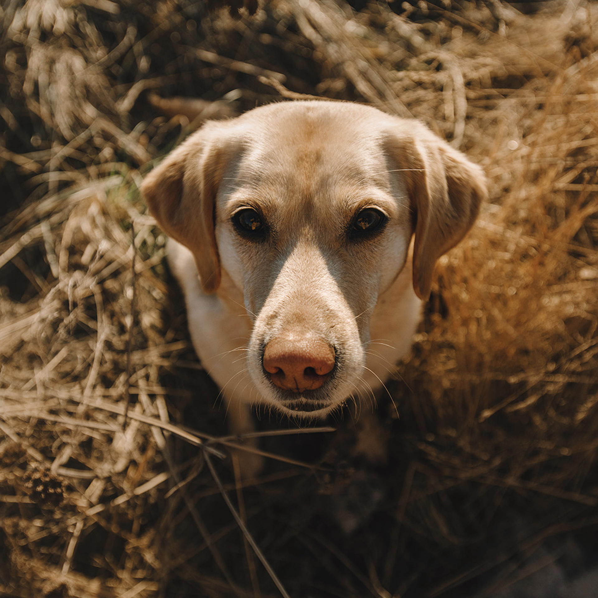 Катя и Фаня. Фотограф Анна Тюрина