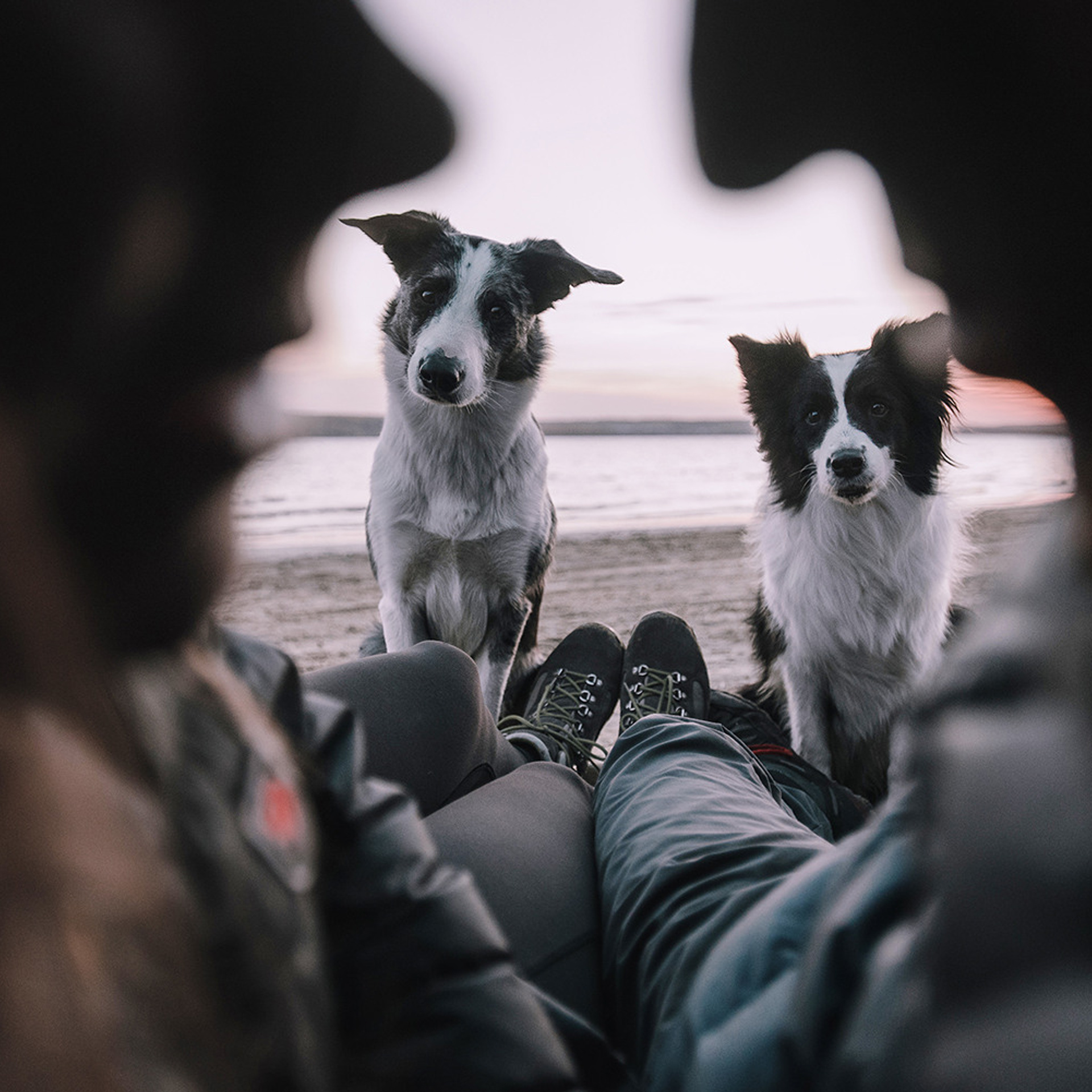 Сева, Даша, Аса, Кит. Фотограф Анна Тюрина