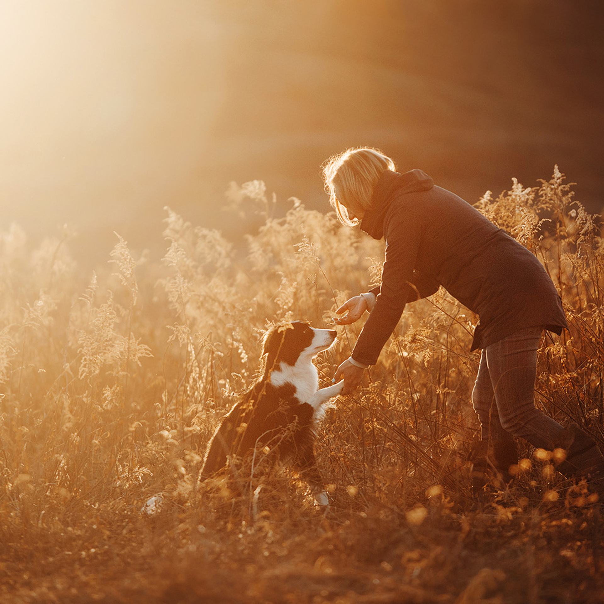 Таня и Шэгги. Фотограф Анна Тюрина
