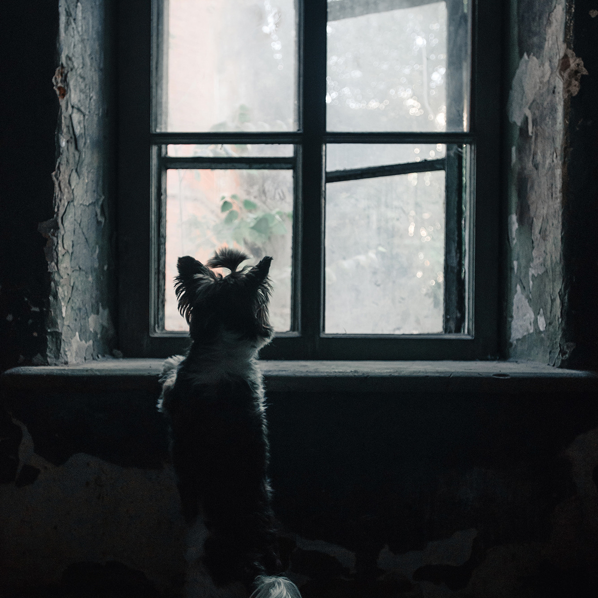 Алина и Яся. Фотограф Анна Тюрина