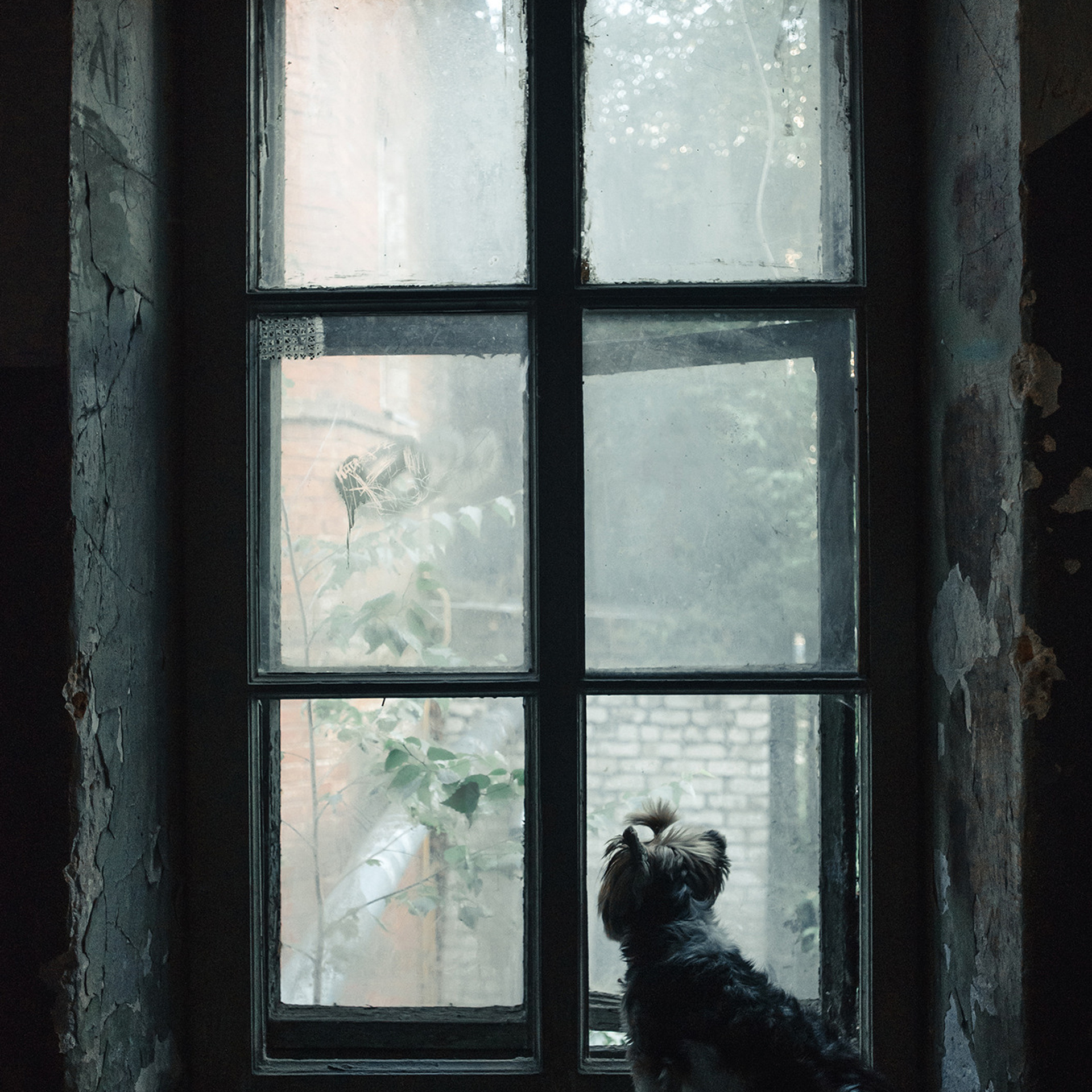 Алина и Яся. Фотограф Анна Тюрина