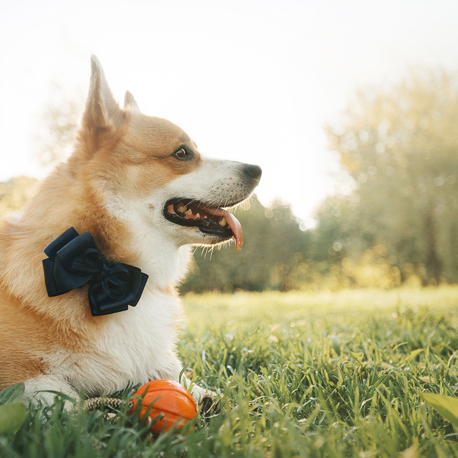 Тим, Ира и Тимур. Фотограф Анна Тюрина