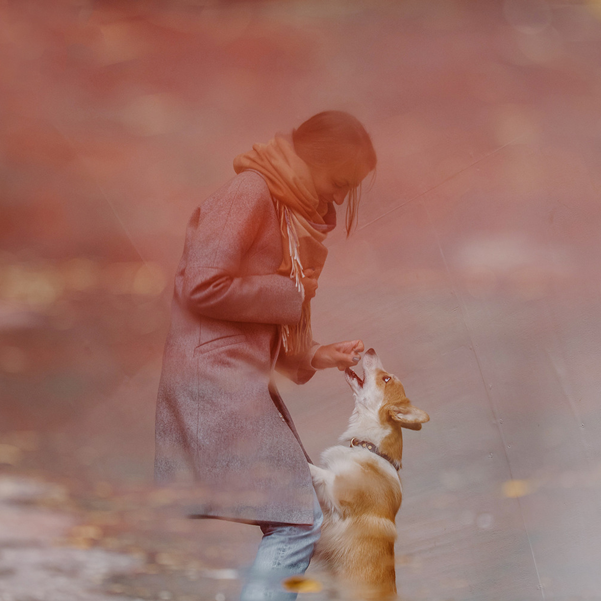 Катя, Саша и корги Люси. Фотограф Анна Тюрина