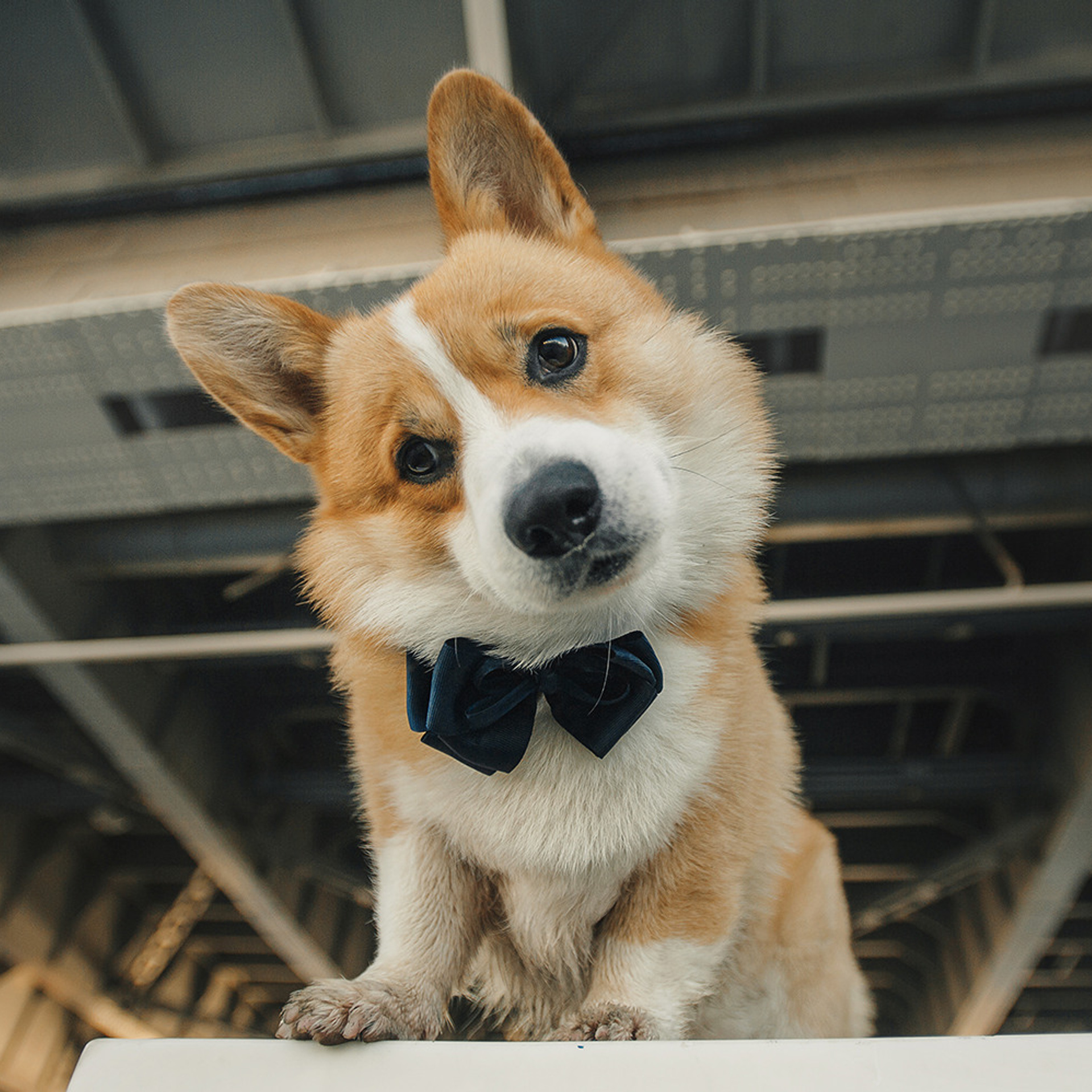 Тим, Ира и Тимур. Фотограф Анна Тюрина