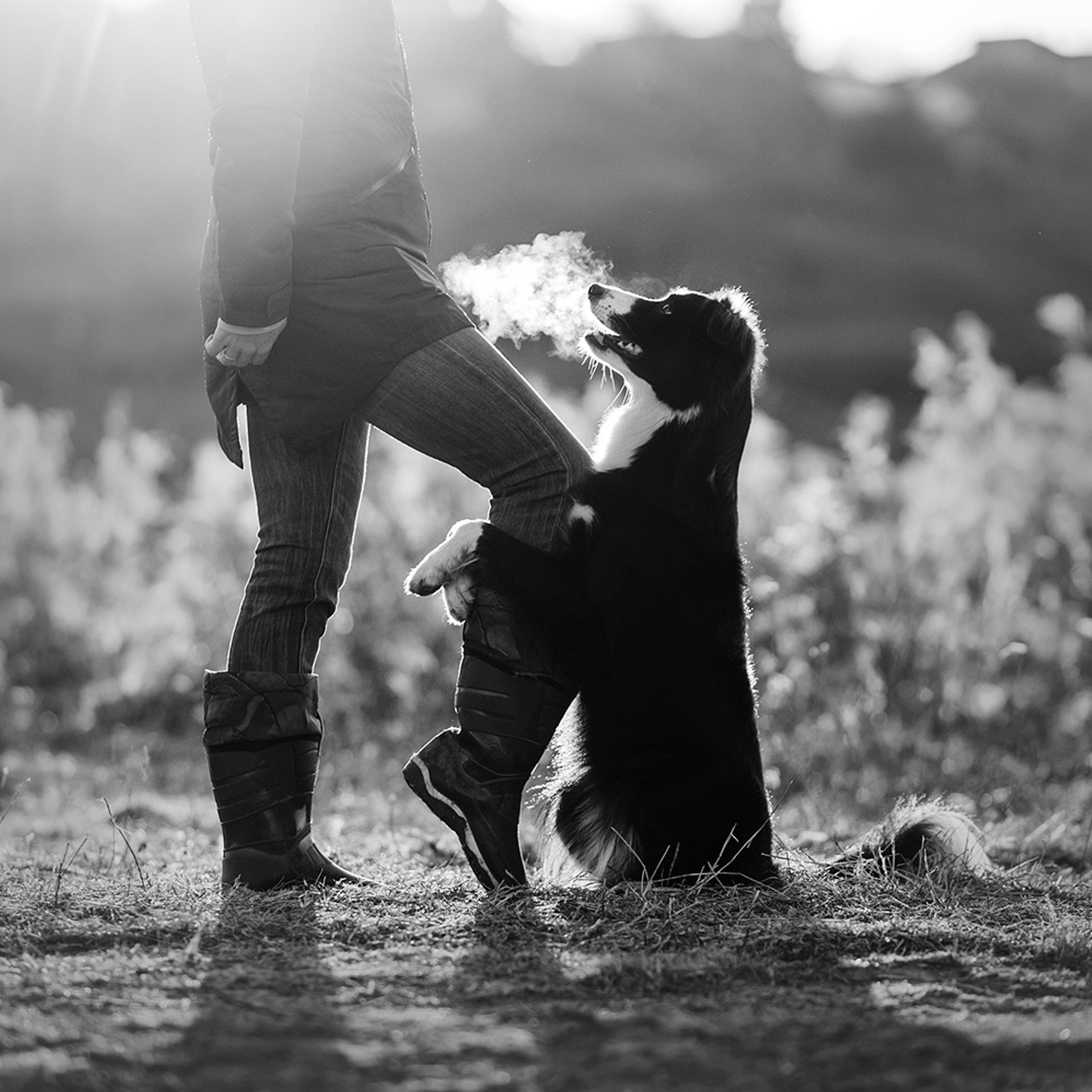 Таня и Шэгги. Фотограф Анна Тюрина