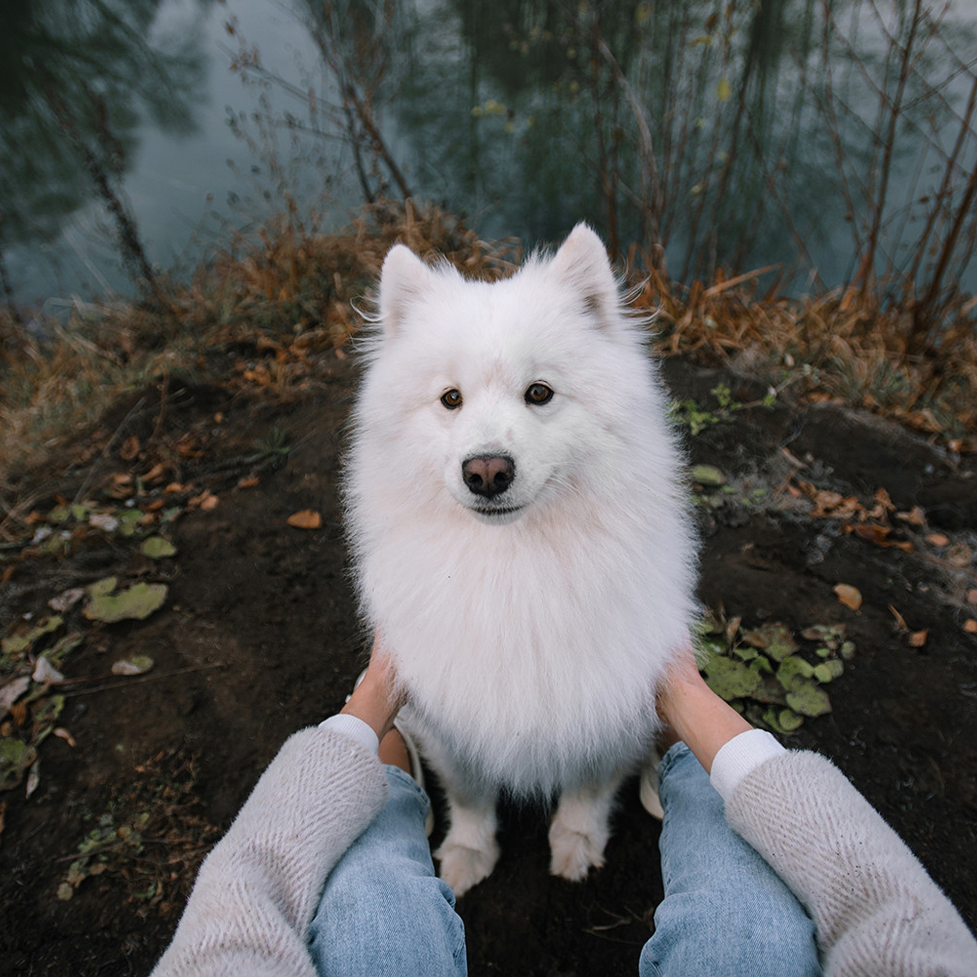 Елена и Эльза. Фотограф Анна Тюрина