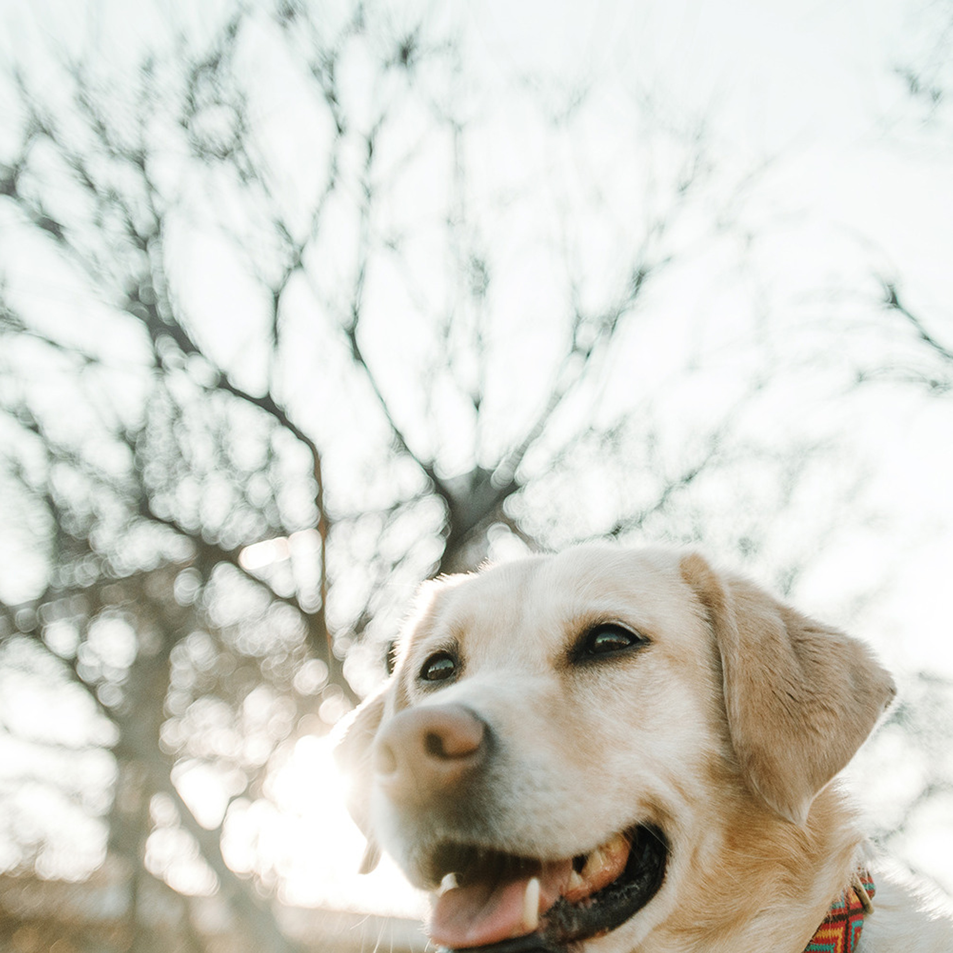 Катя и Фаня. Фотограф Анна Тюрина