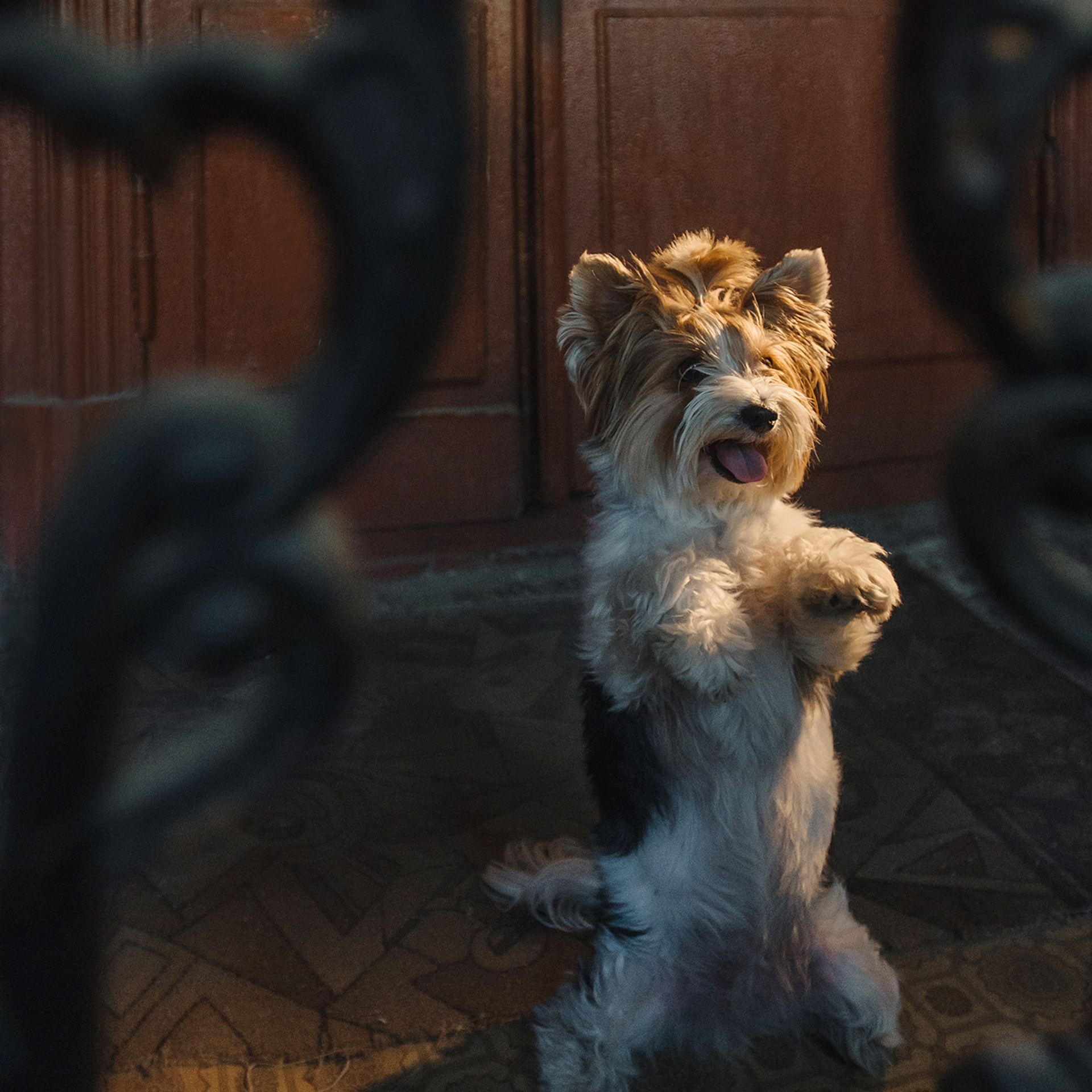 Алина и Яся. Фотограф Анна Тюрина